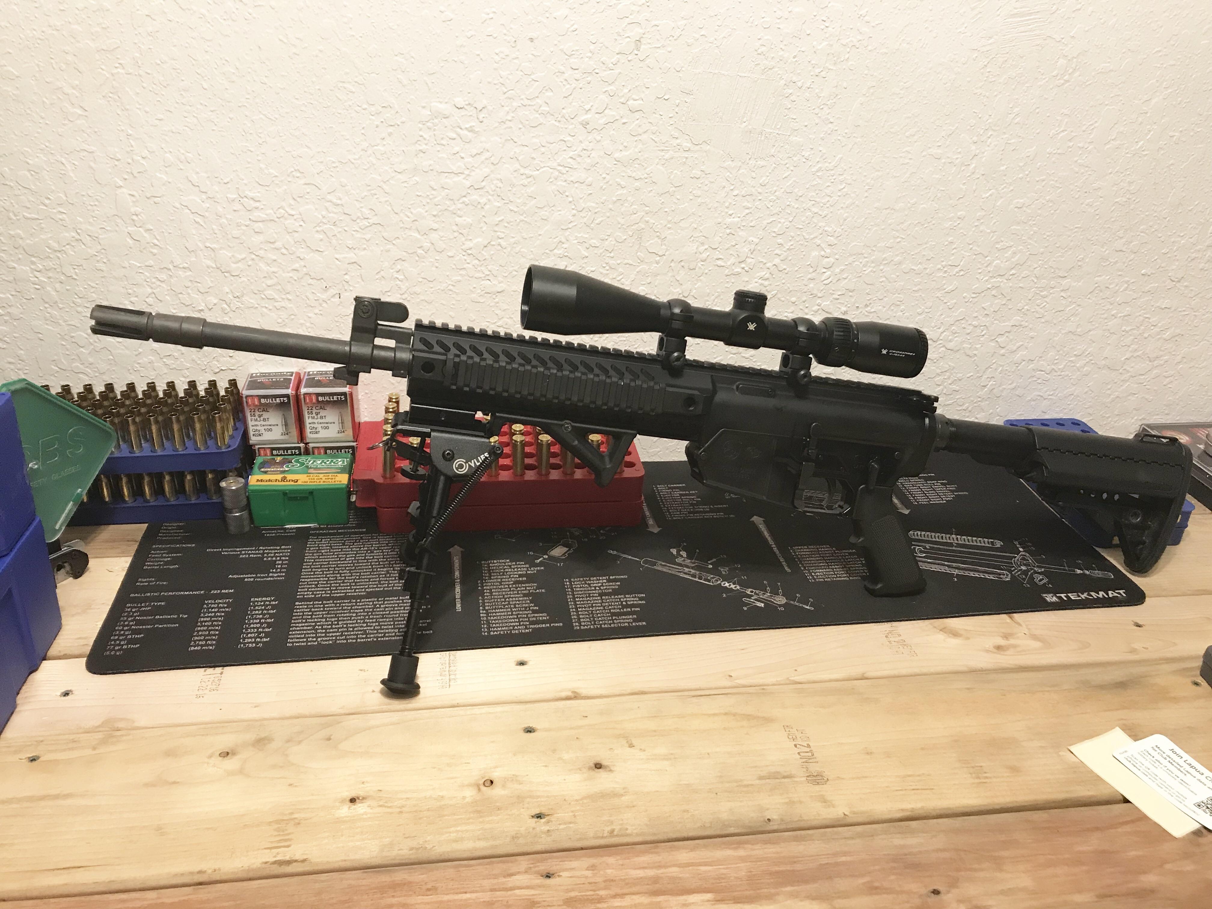 Just recently picked up this le901 colt .308. Need opinions on addon’s