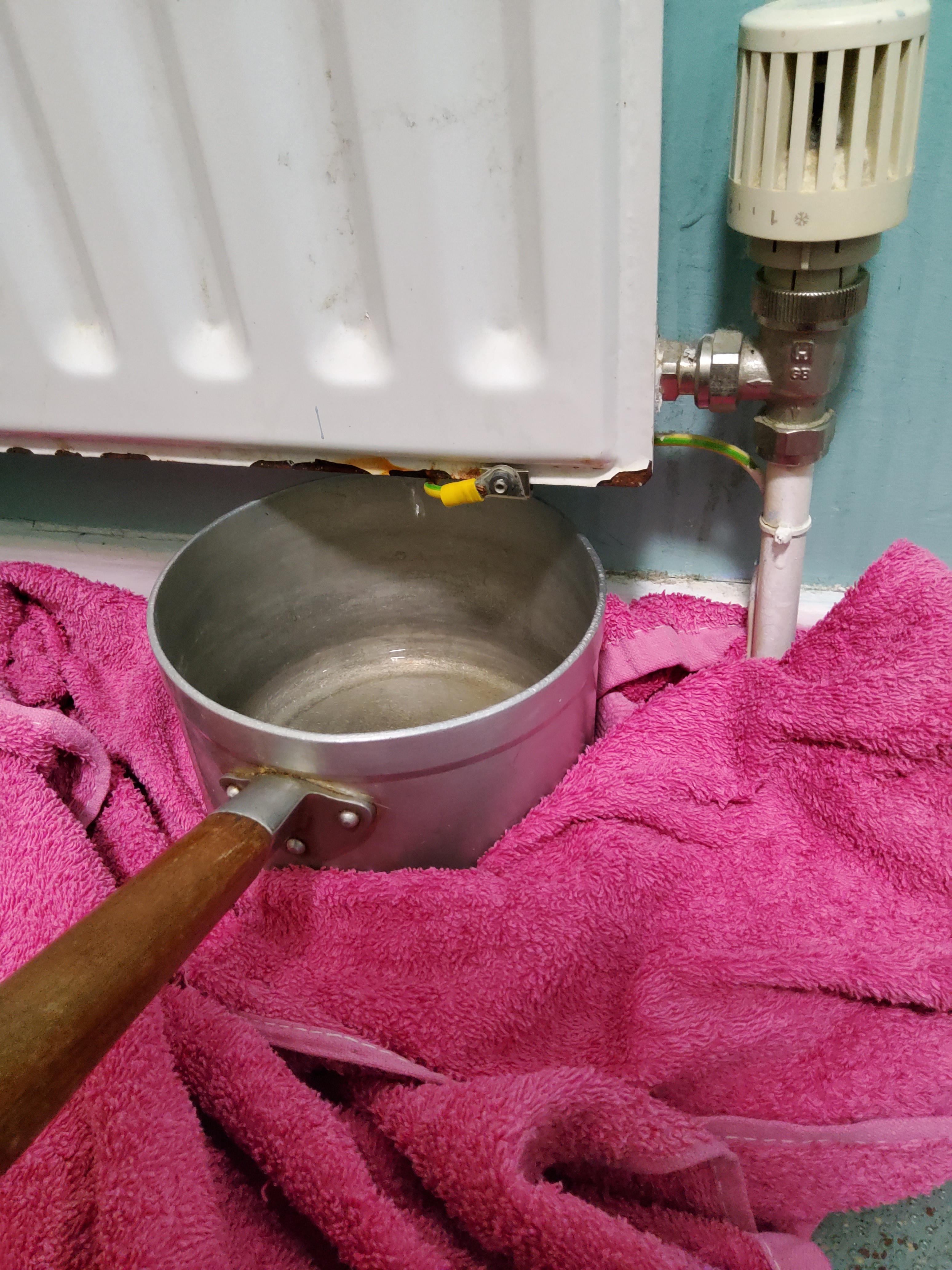 Can anyone help me with this? My radiator has started leaking (to the