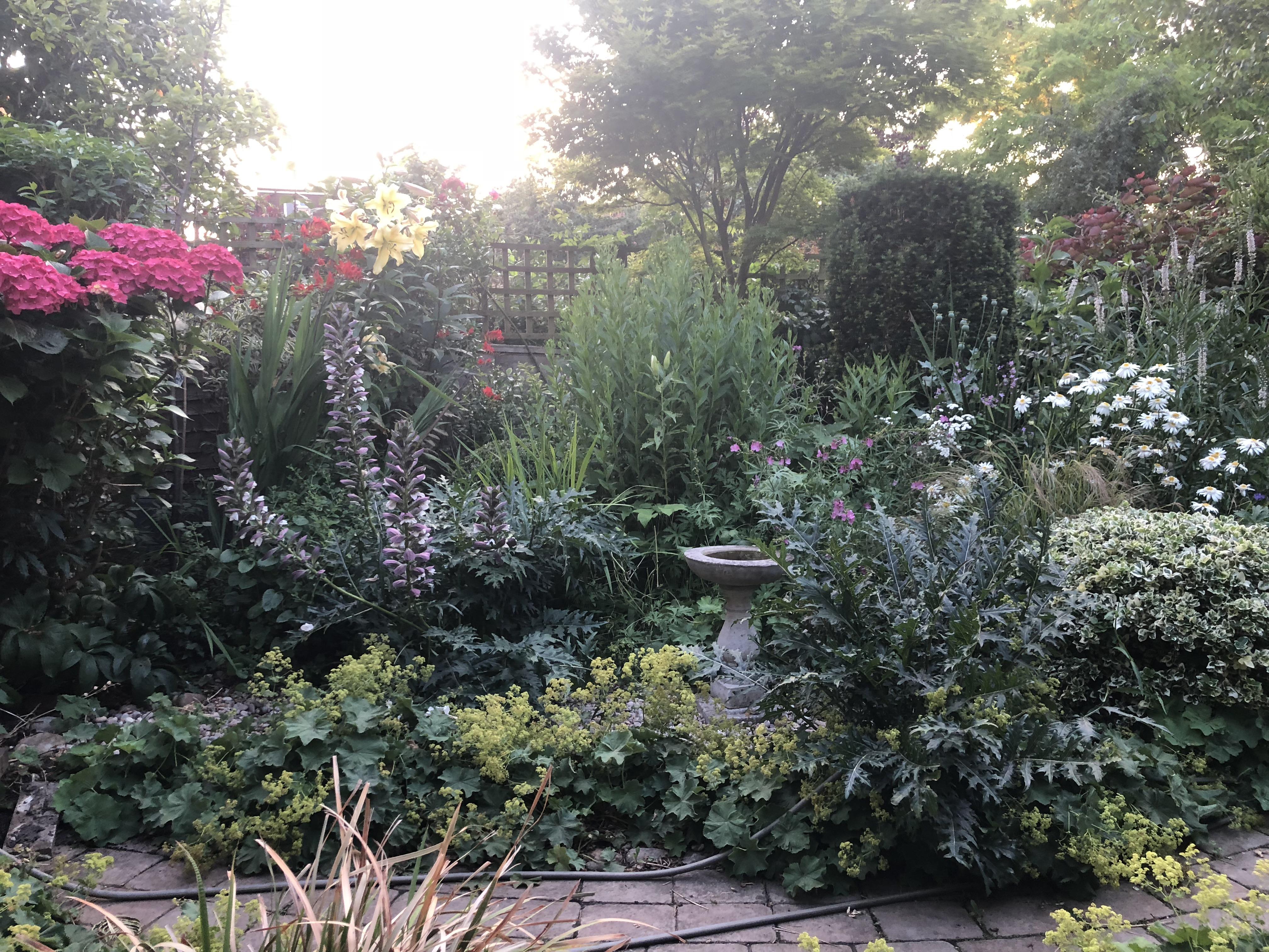 In this summer heatwave a UK north facing garden comes into its own r