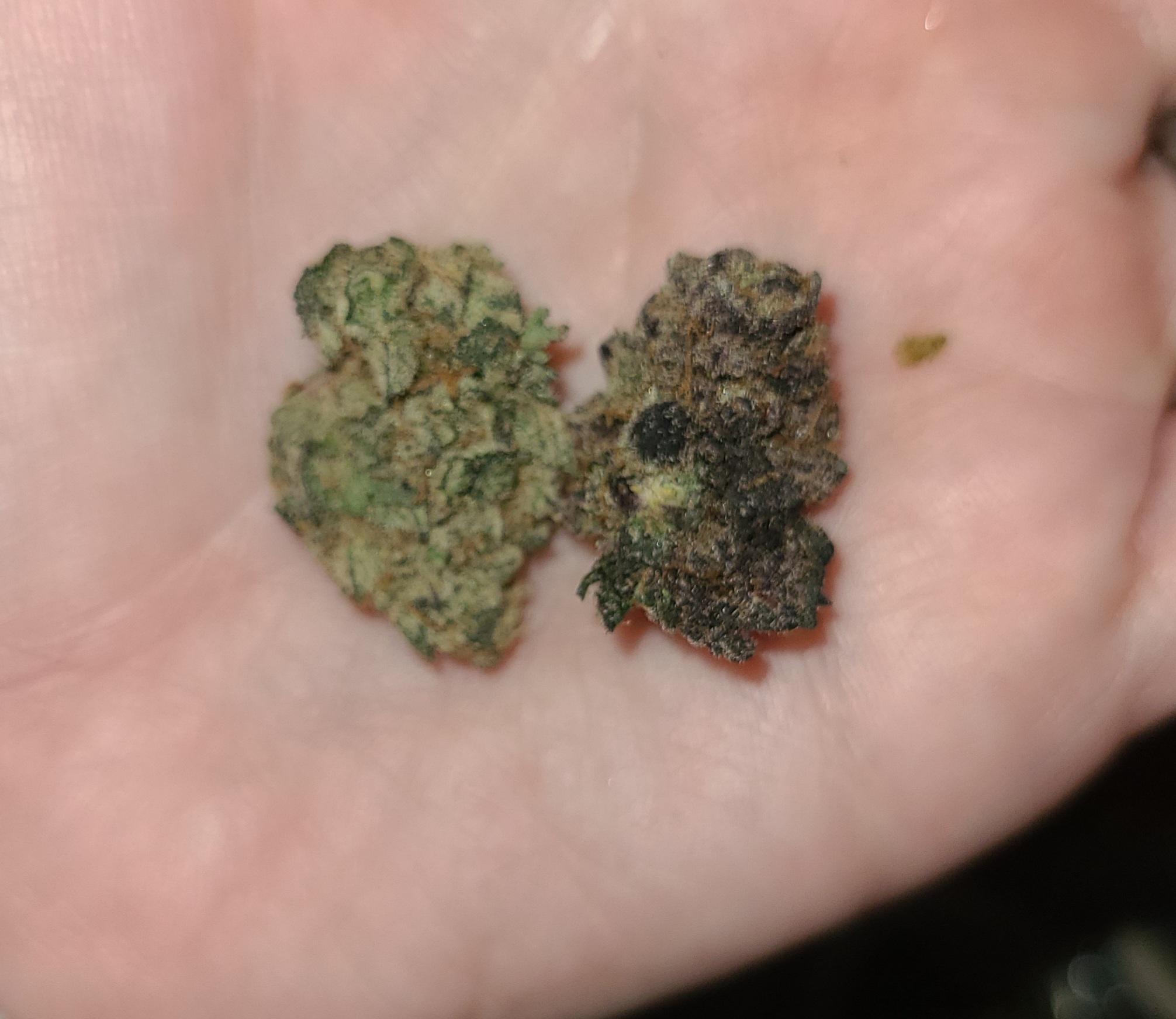 Why is the bud on the right so dark? Is it ok to smoke or is it moldy