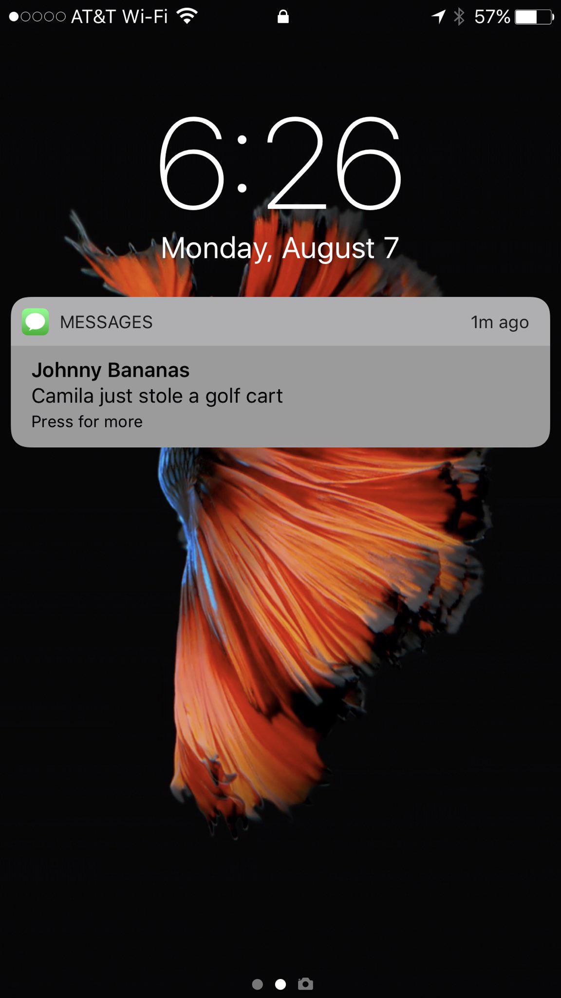 Johnny Bananas And Camila