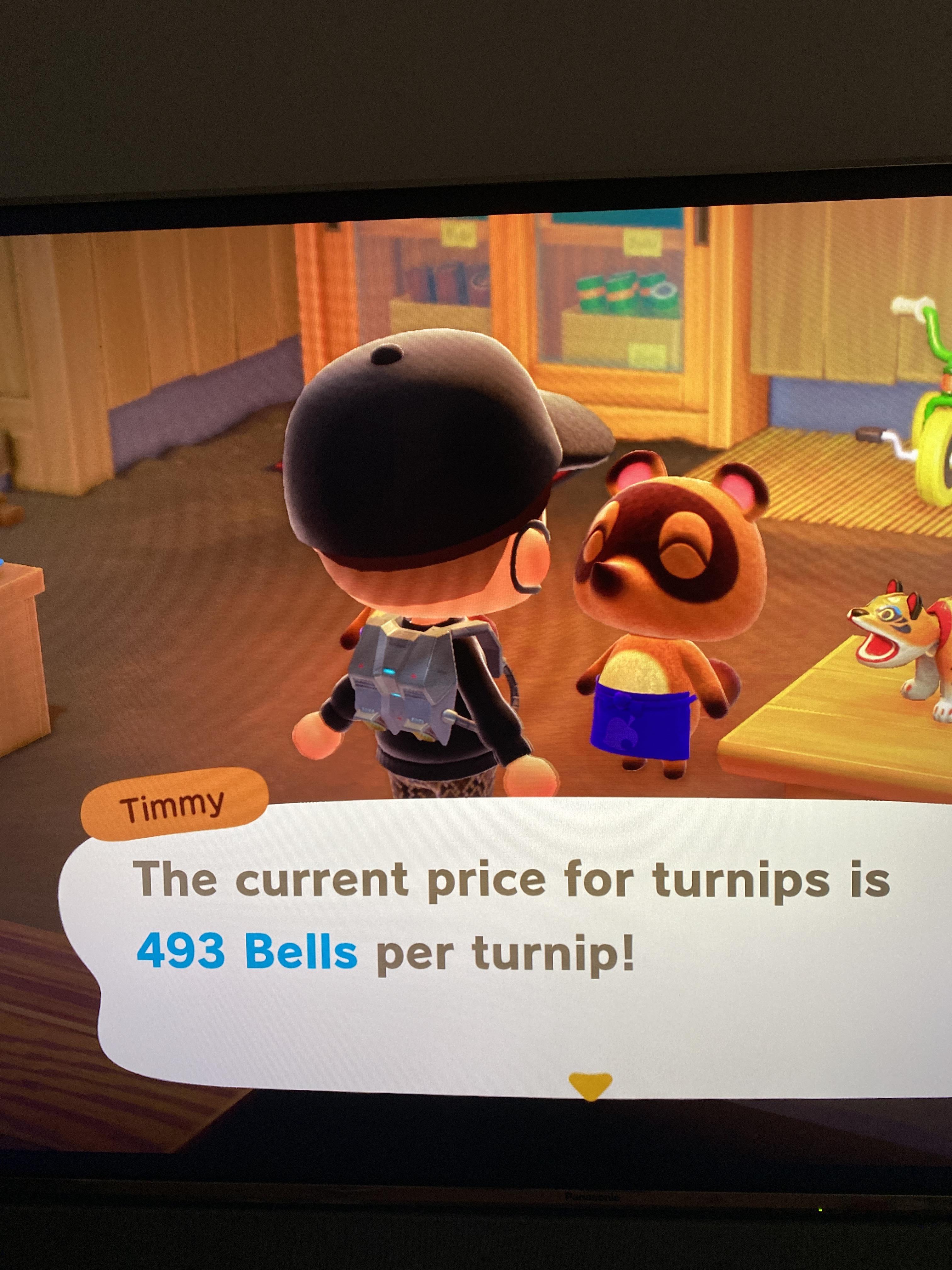 High turnip price if anyone wants to sell. 493 bells per turnip r