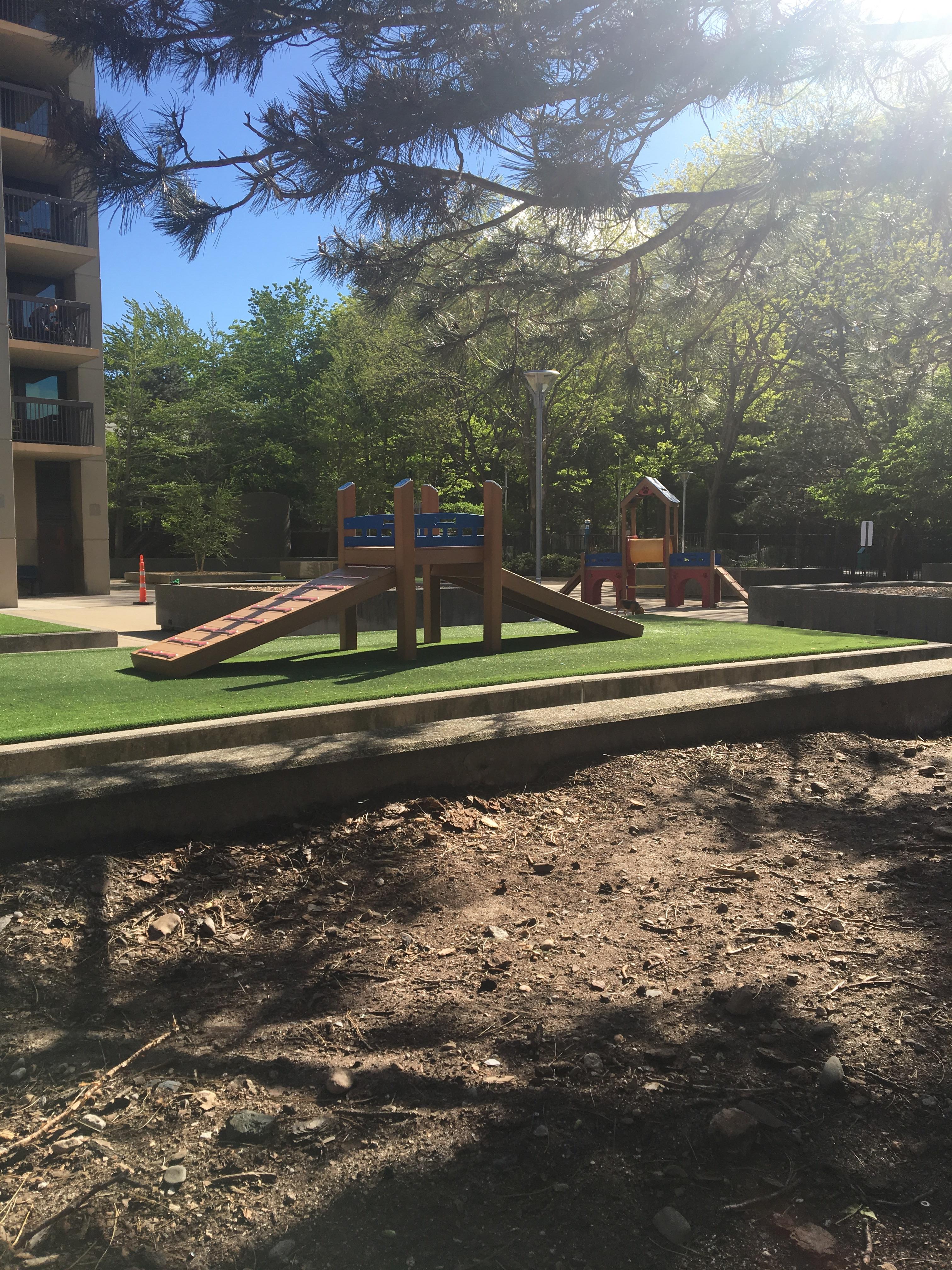 An apartment complex near my work has a playground exclusively for dogs