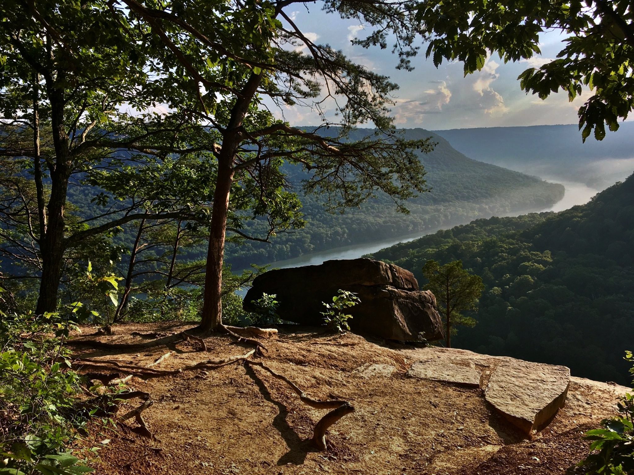 Hiked a ways down the trail from Signal Point in Chattanooga... great