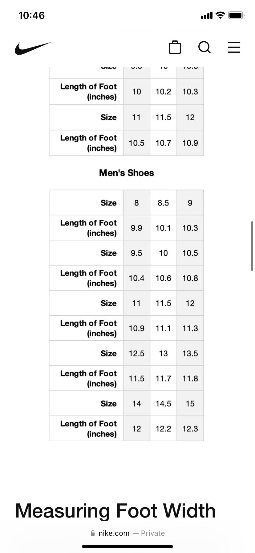 How accurate would yall say this Nike shoe size chart is? r/Repsneakers