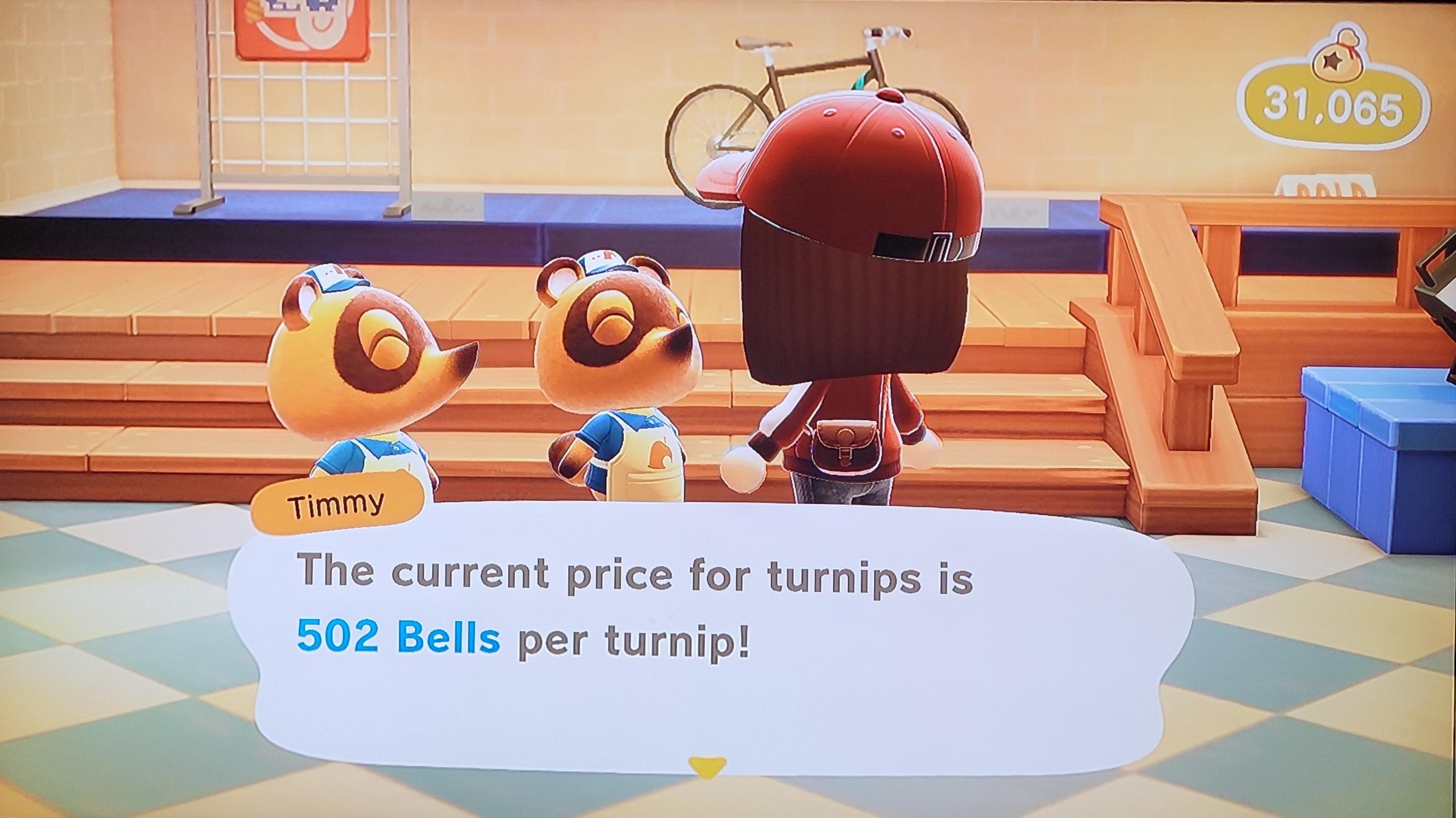 Turnip price is 502 for anyone looking to sell. Dodo code CVL4K r/ac