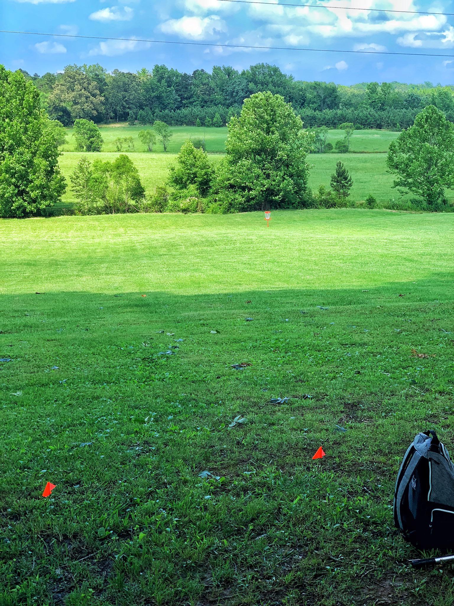 Getaway Farms Hole 1, 250’ Guys, TN r/discgolf