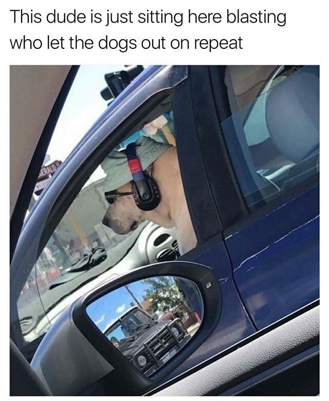 Who let the dogs out memes