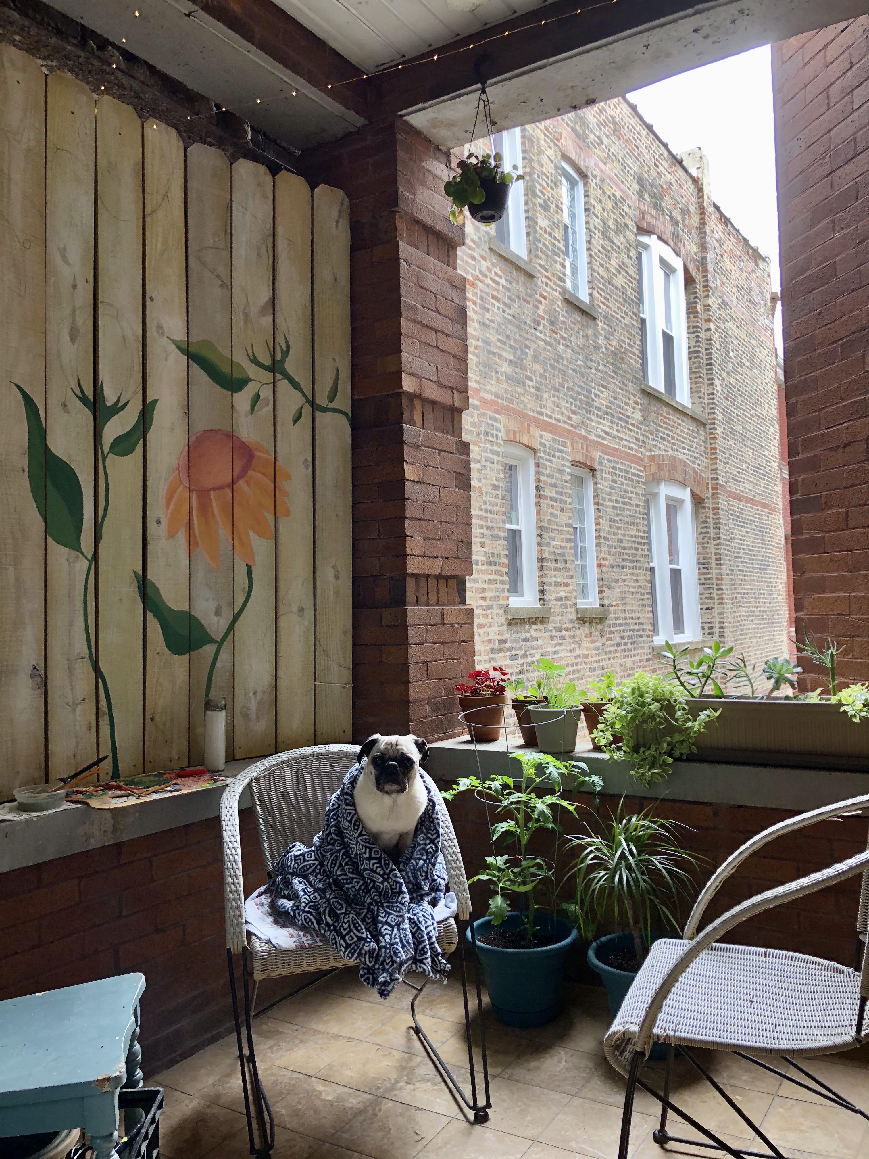 1913 flat in Ukrainian Village, Chicago. r/CozyPlaces