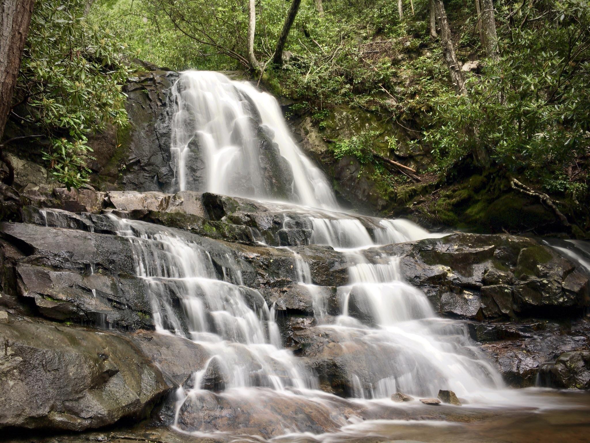 Laurel Falls, Great Smoky Mountains National Park, TN [OC] [4032*3024