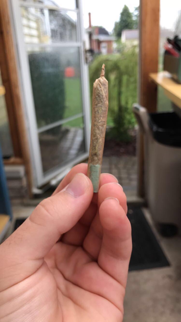 Just started learning how to roll joints, I think this one turned out