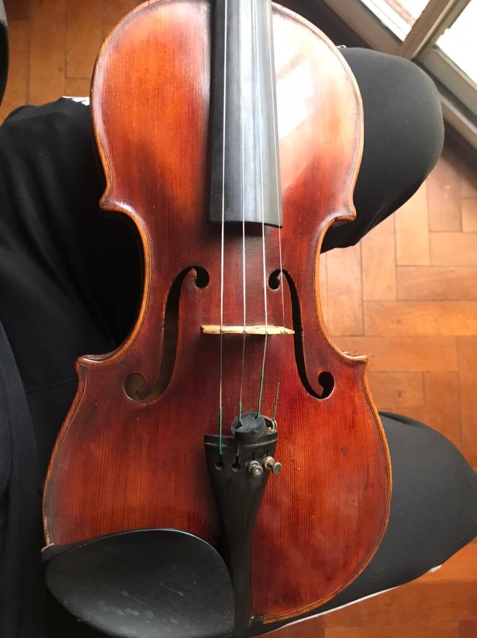 String buying guide [from Shar Music] violinist