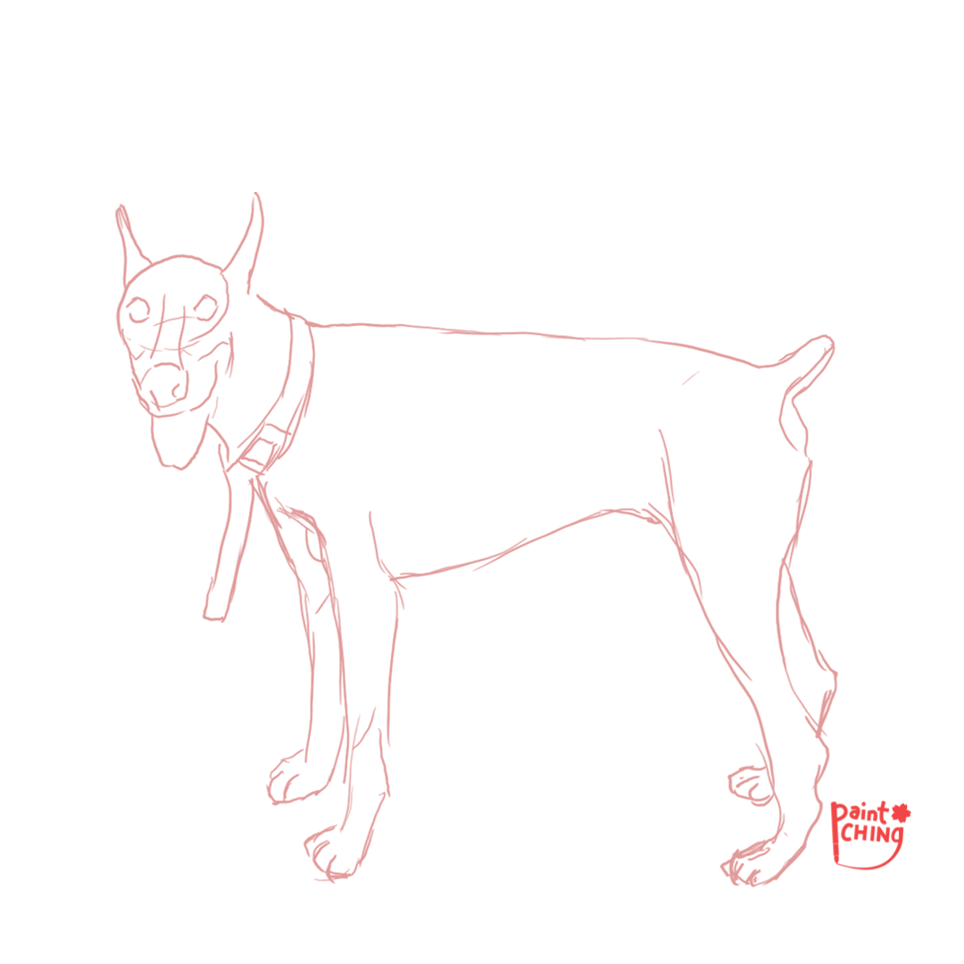 I make custom pet portraits in various art styles! Scroll for more! and