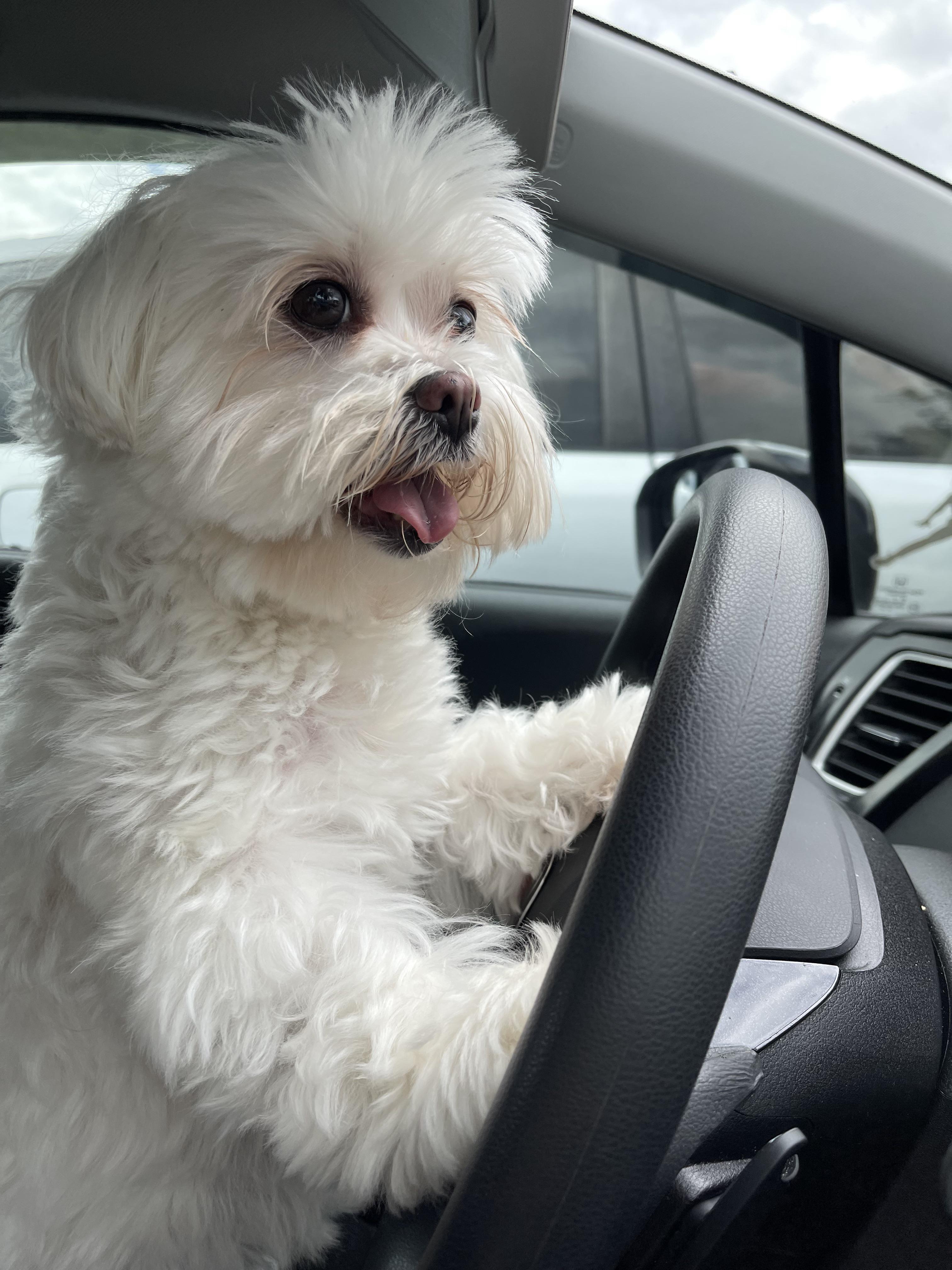 Do you have any on any supplements/vitamins to start