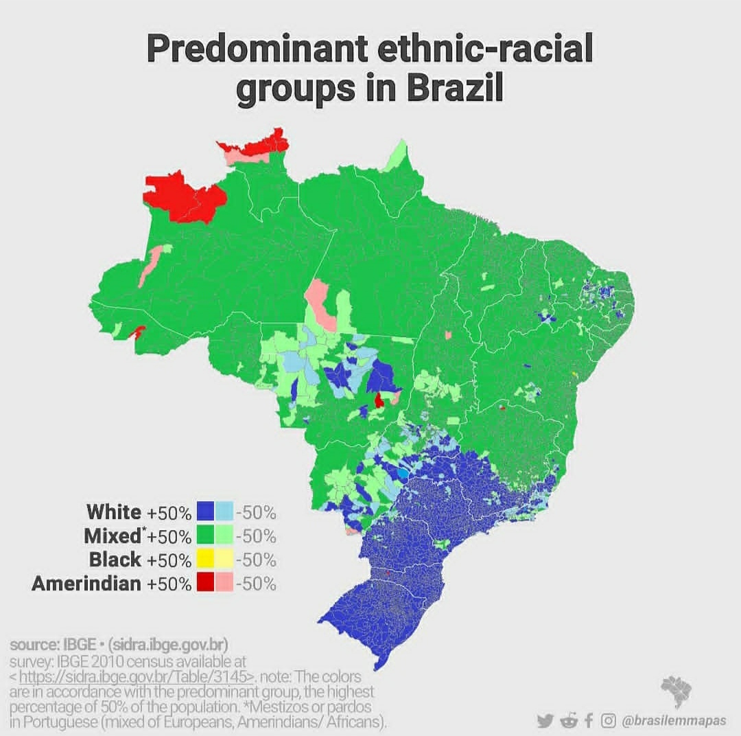 etnias proeminentes no Brasil r/brasilivre