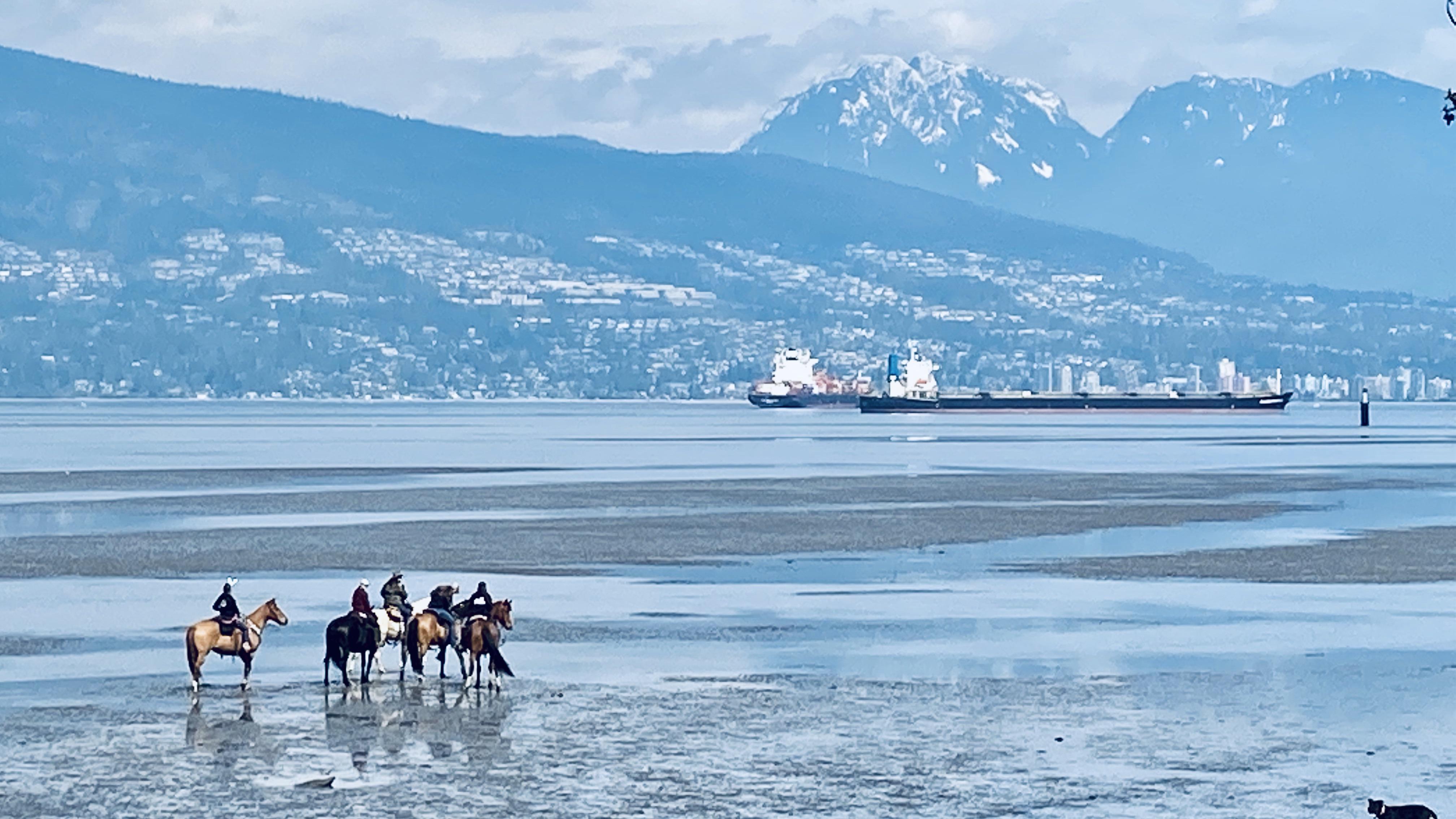 Spanish Banks Beach, Vancouver BC r/PacificNorthwest