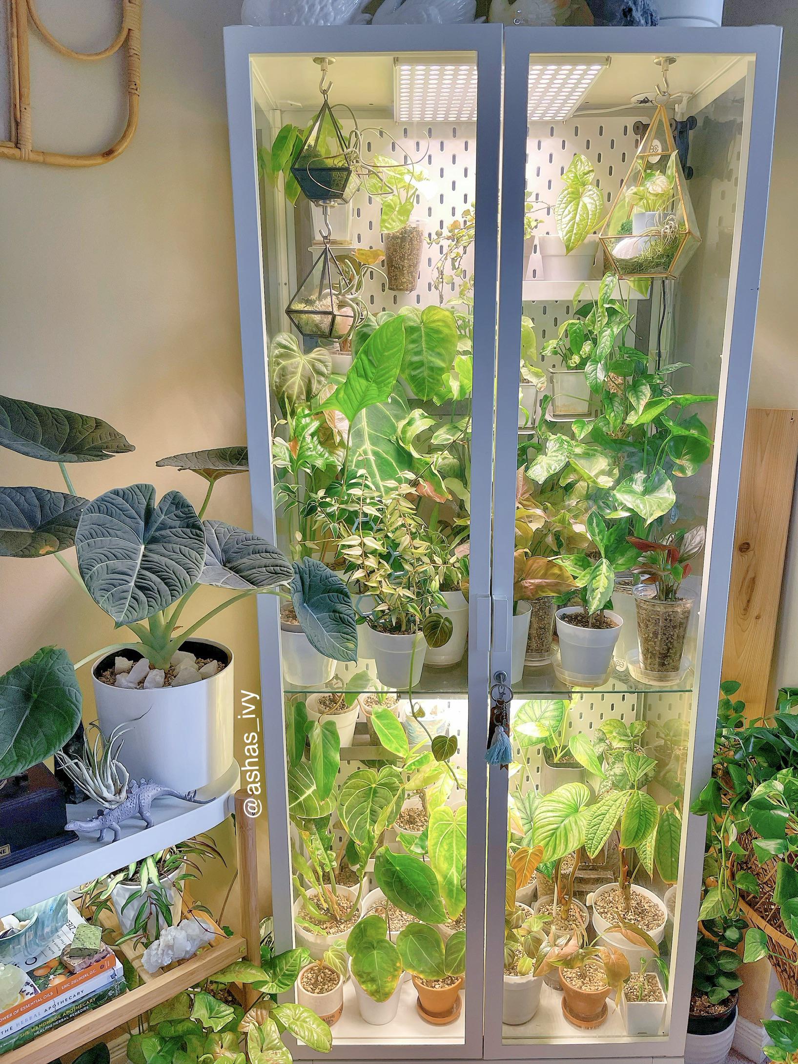 My IKEA greenhouse setup r/houseplants