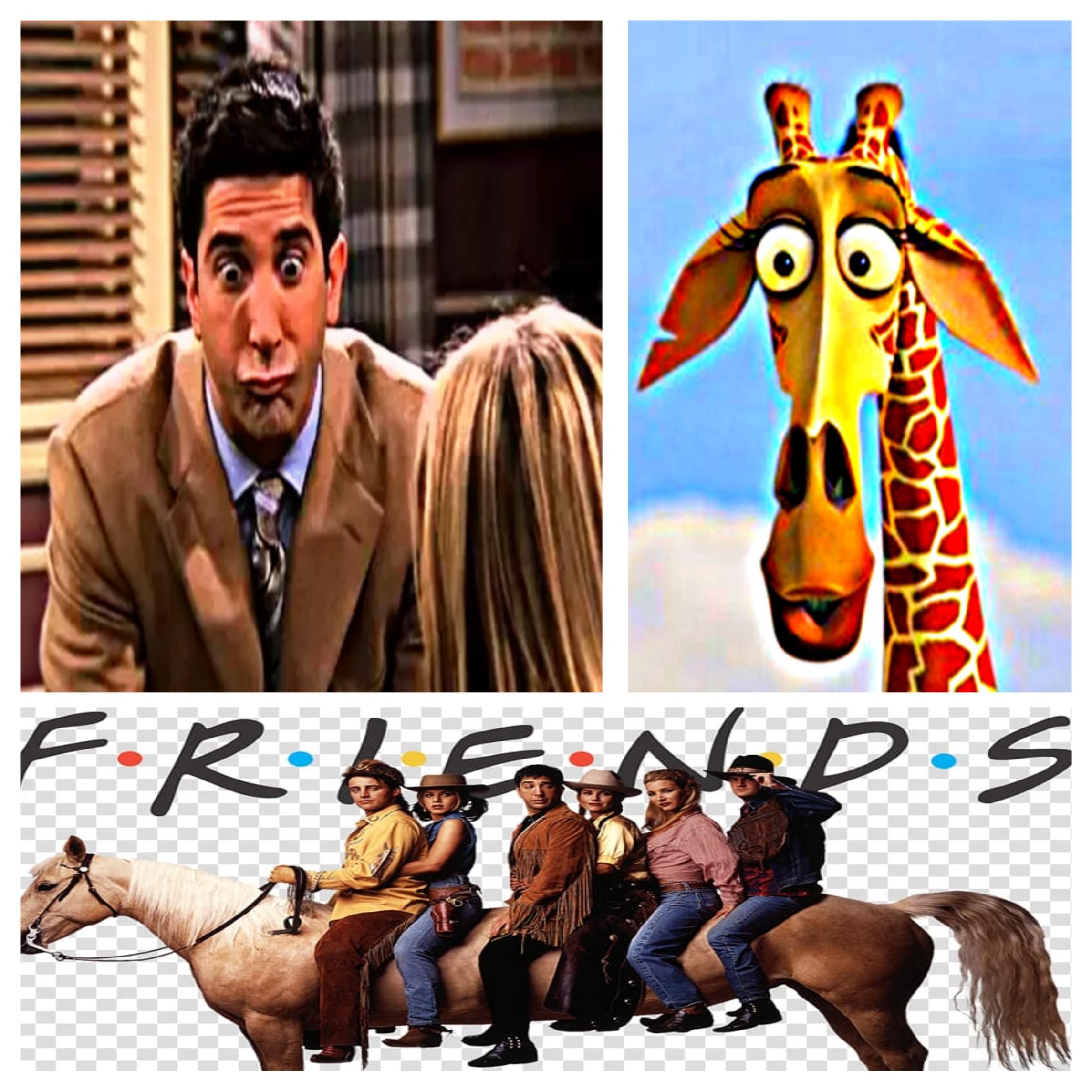 melman makes you lose money. moral of the story never be friends with