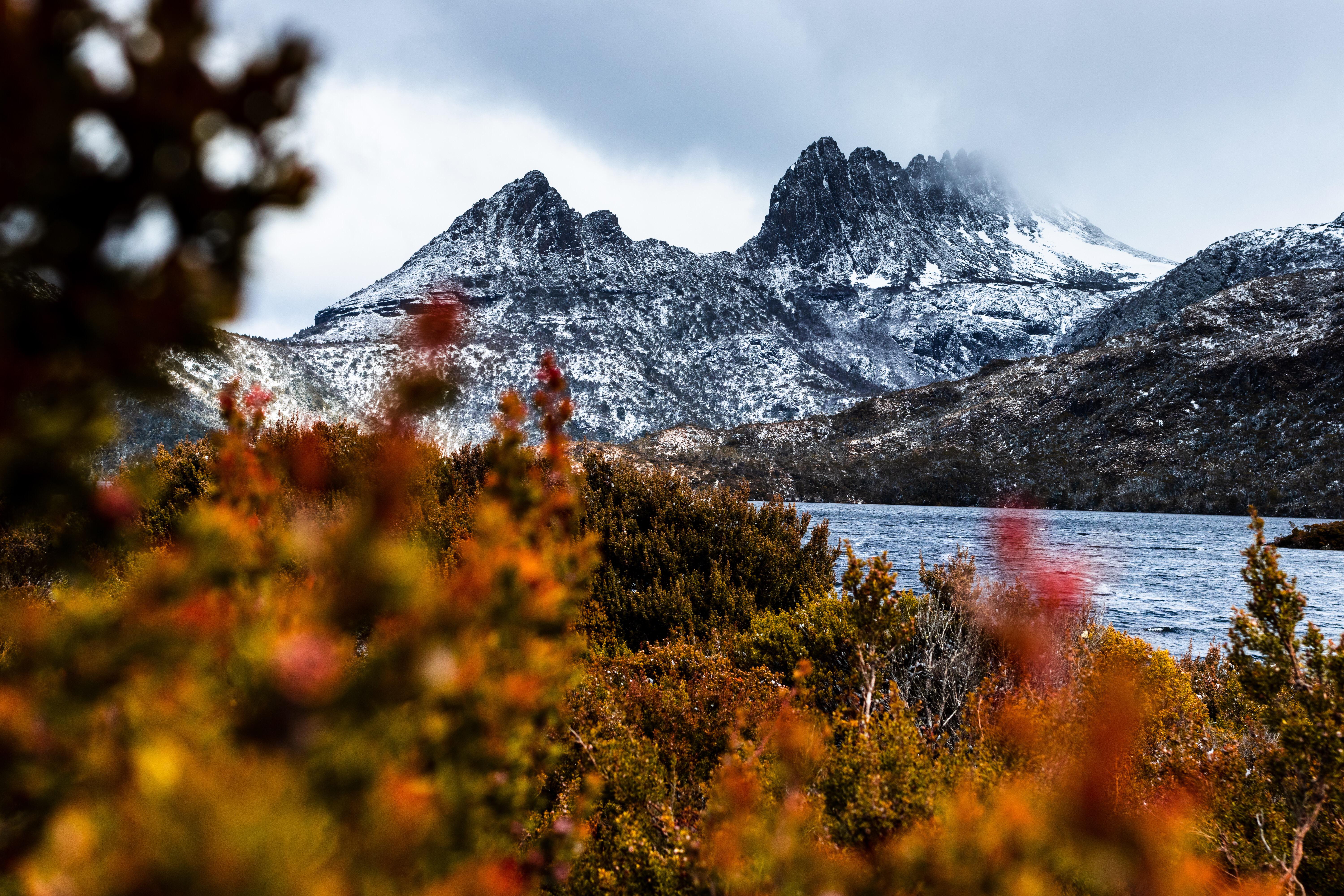 Cradle mountain, Launceston, Tasmania [6000x4000] [OC] r/EarthPorn