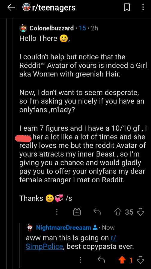 Best copypasta ever r/SimpPolice