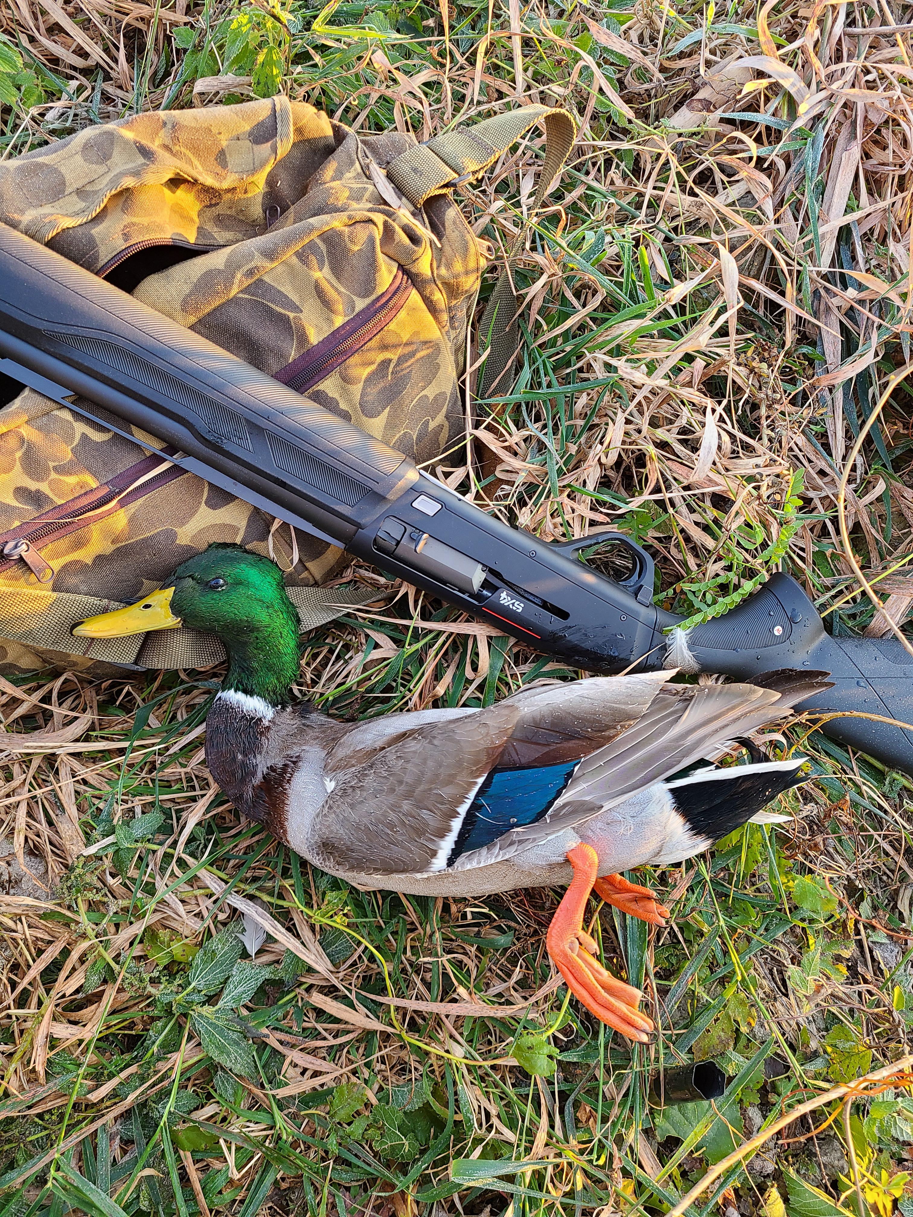 My first mallard. First year duck hunting, using my dads 30 year old
