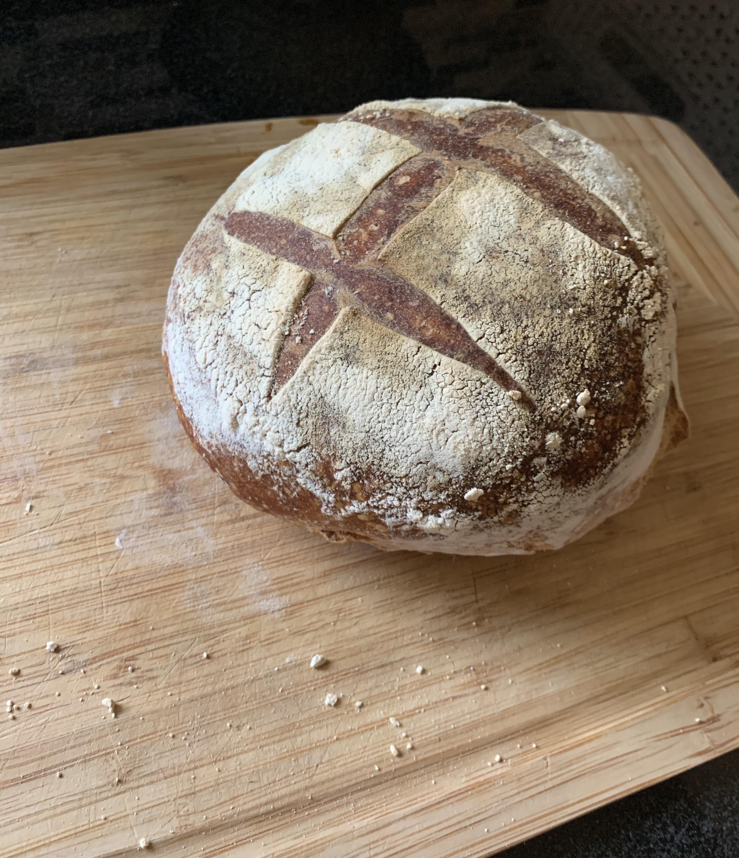 First bake Starter Whole Wheat/AP Flour r/Sourdough