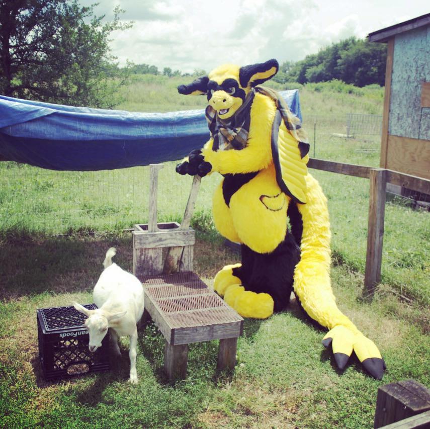 Farm life r/furry