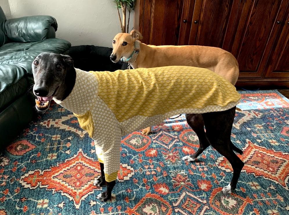 I don't know how I wronged her, but the message is clear! Stink eye