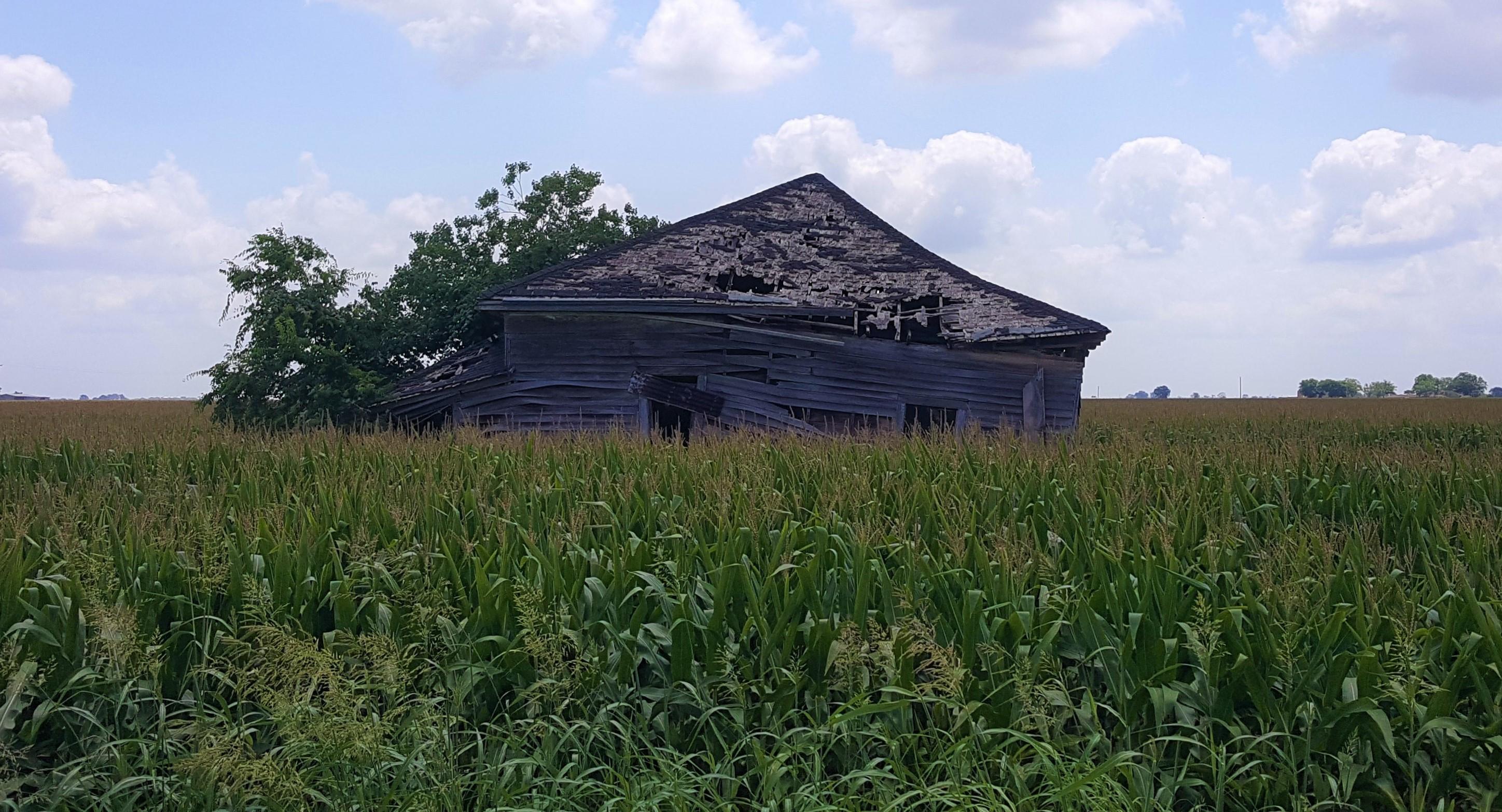 Claimed by the corn. Ganado, TX [2896 x 1566] r/AbandonedPorn