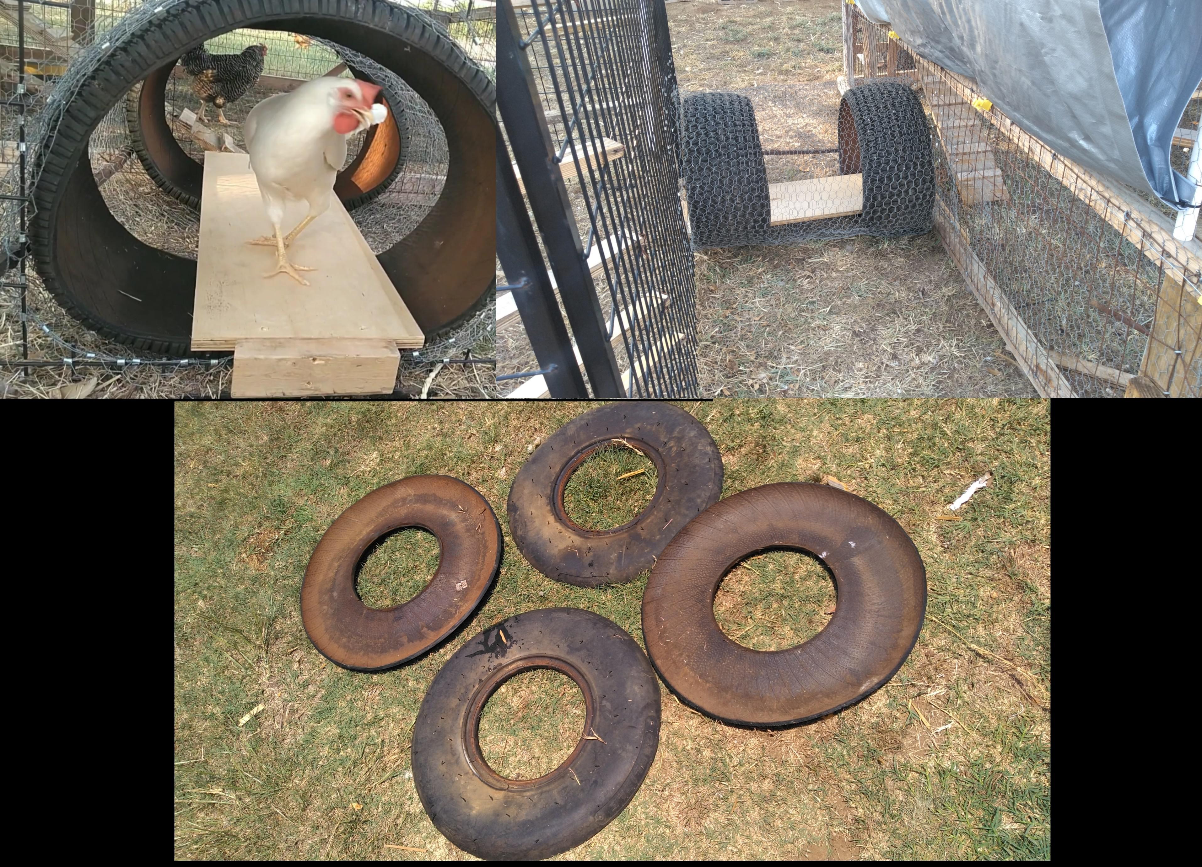 hey guys, so I made a tunnel to connect my chicken coops and have these