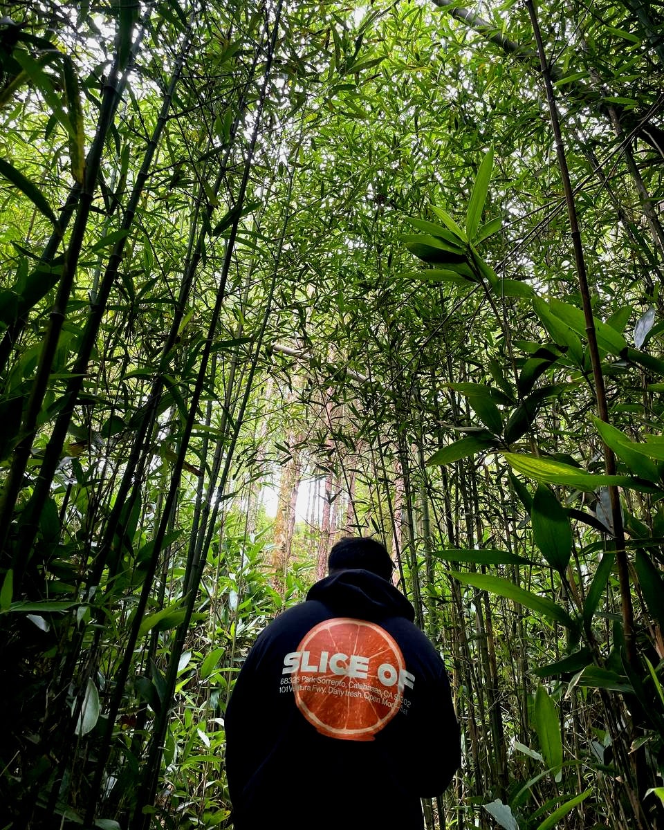 Bamboo Sanctuary, Baguio. CasualPH
