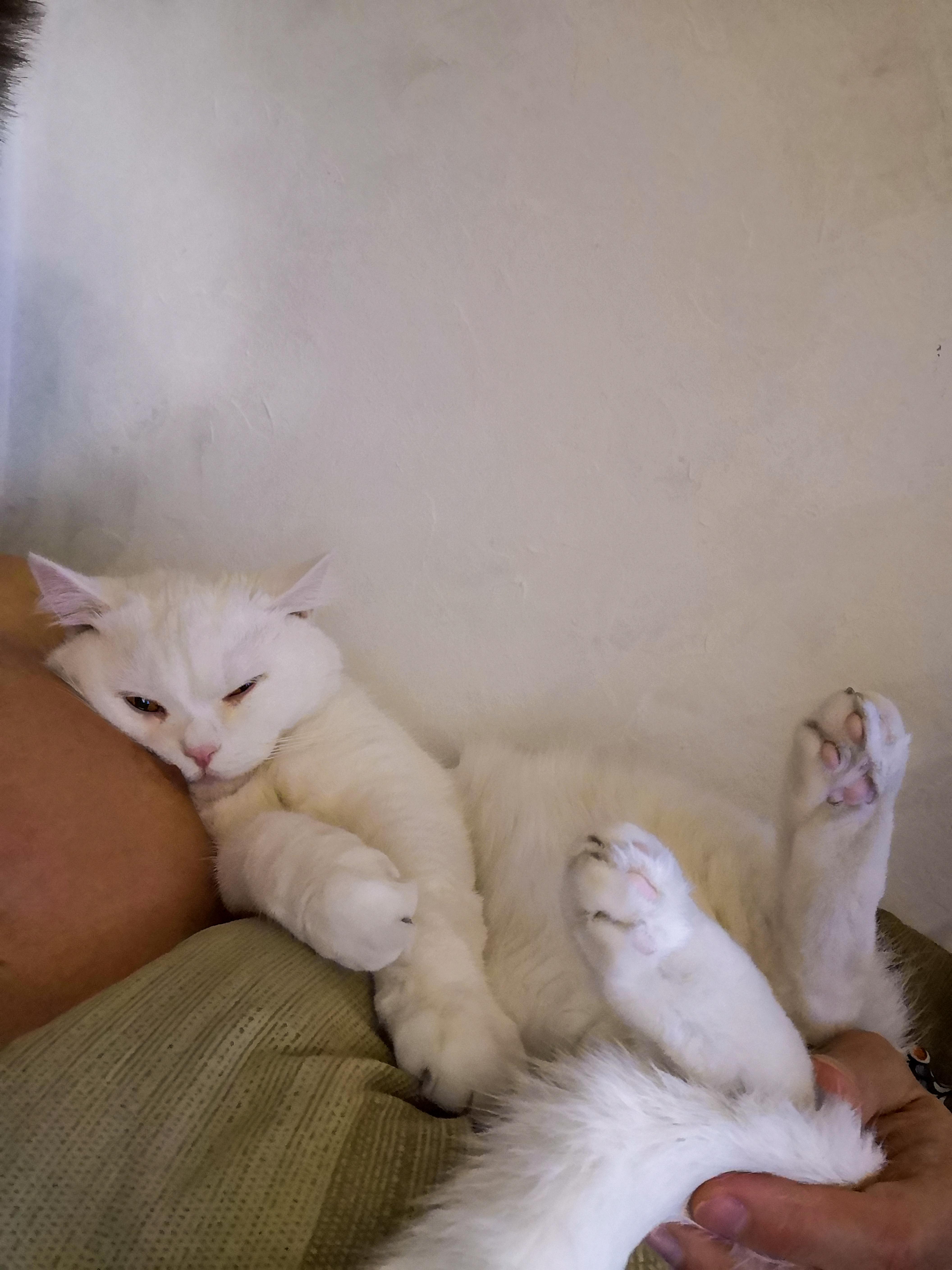 Reddit Dive into anything