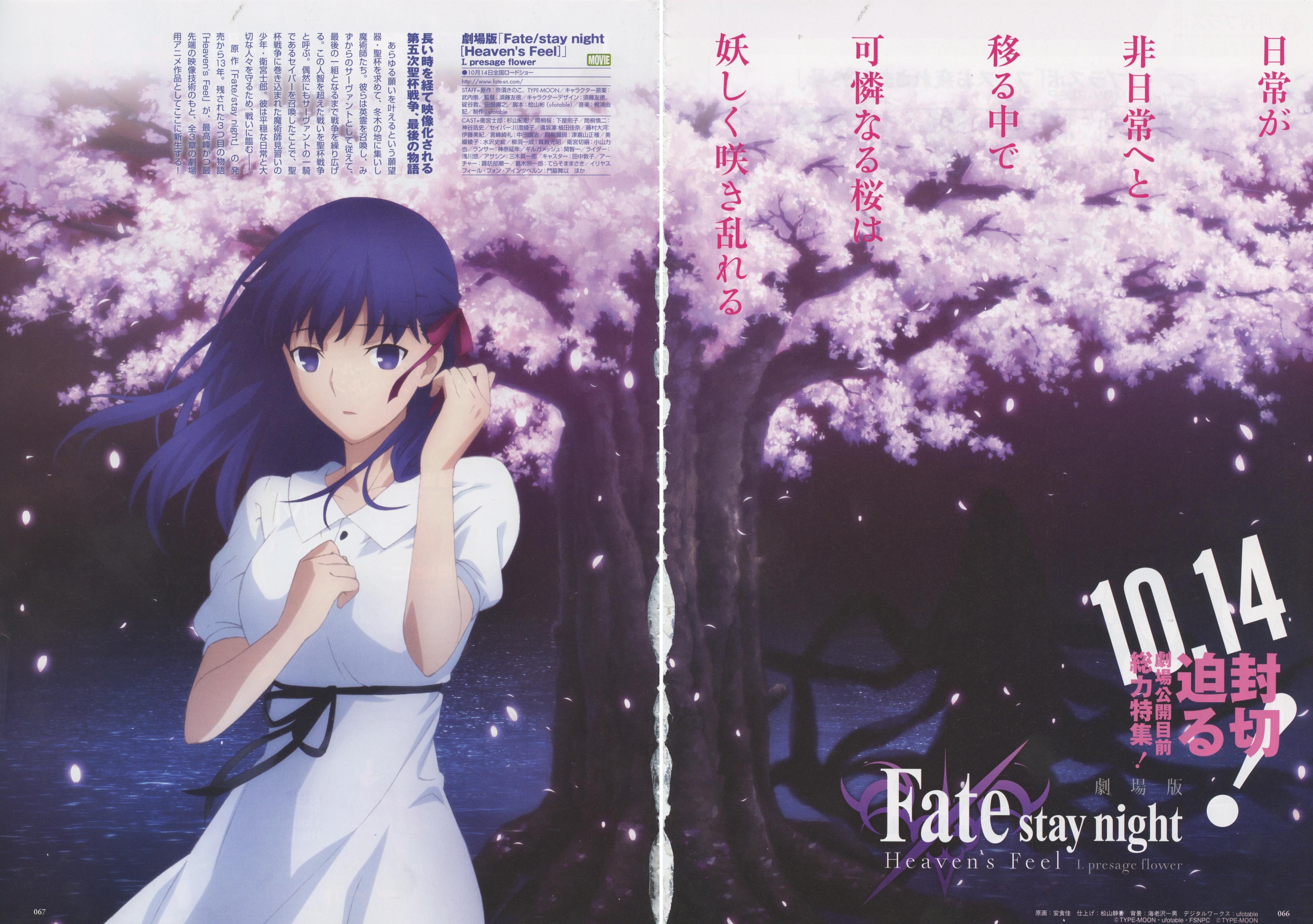 Fate/Stay Night [Heaven's Feel] I. Presage Flower new official art from