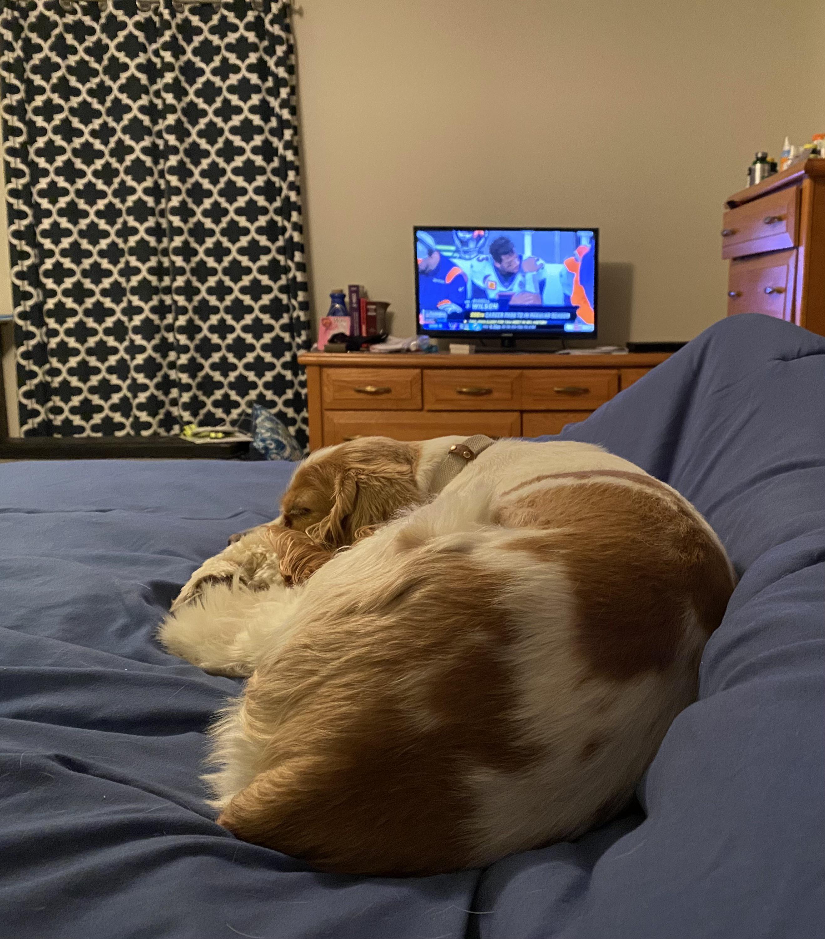 No matter what, he wants to be in the sleep spot near me r