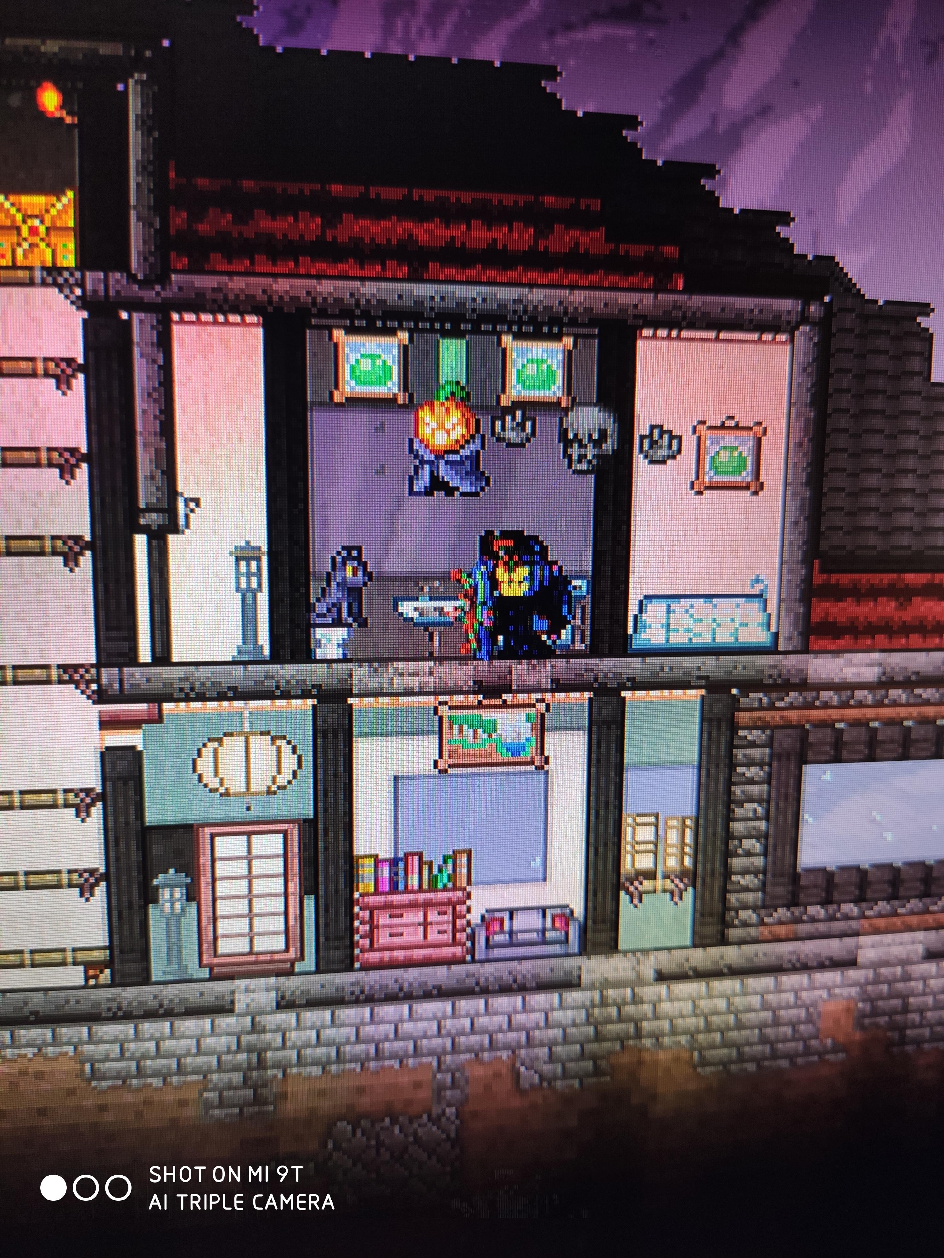 Fun fact cats sit on the toilet sometimes r/Terraria