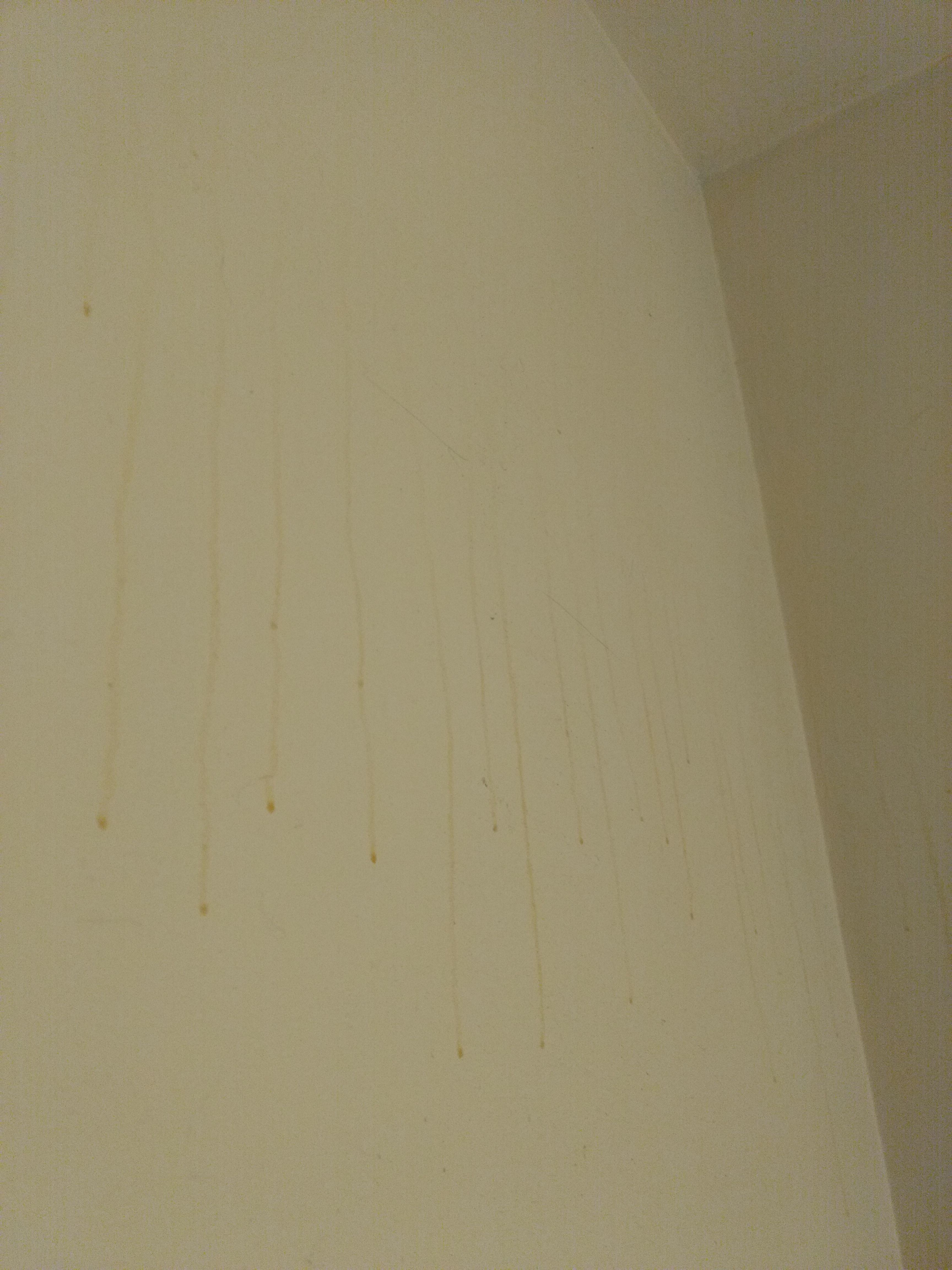 What are these "drips" that keep reappearing on my bathroom wall? I've