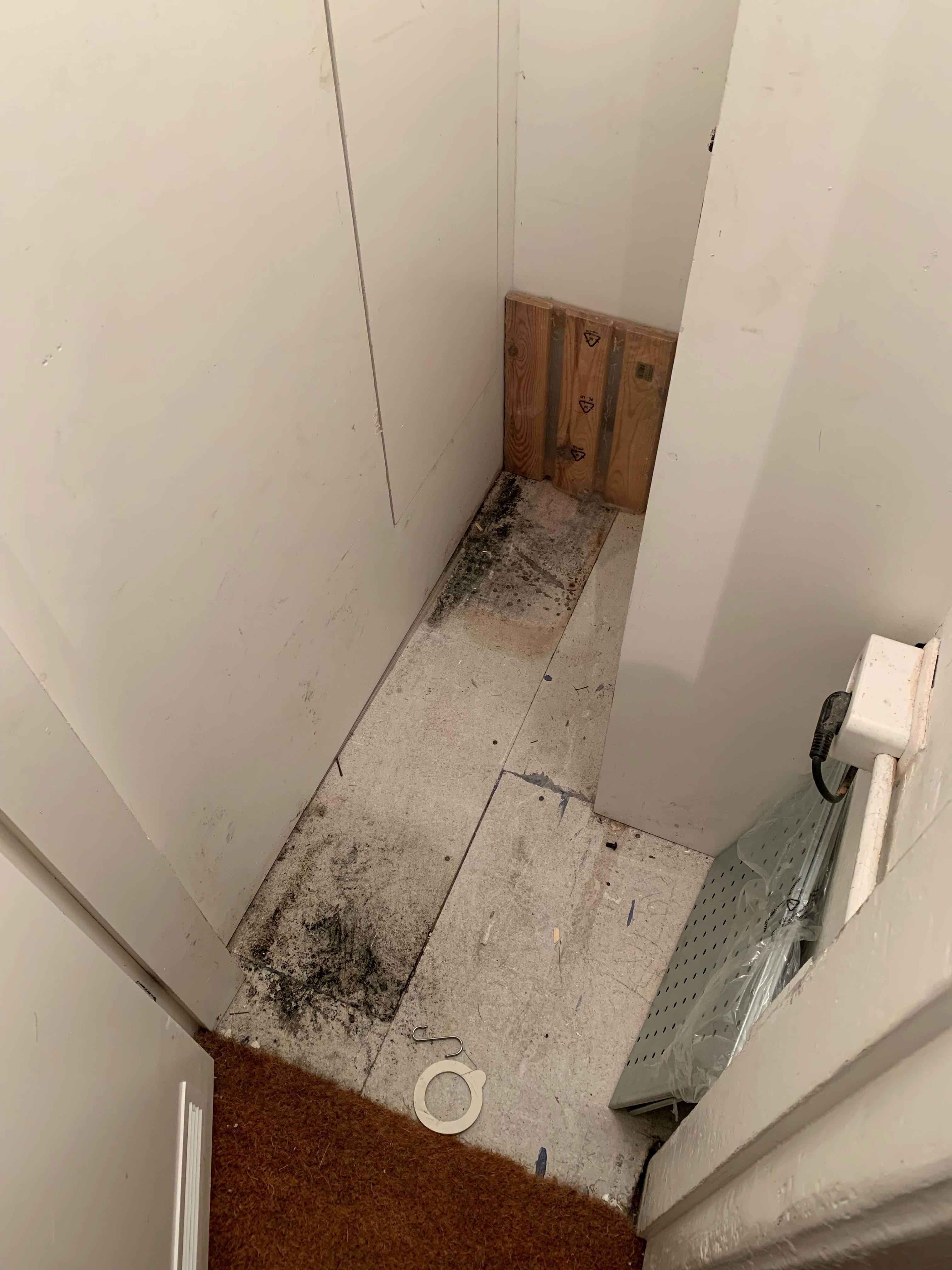 Mold in storage closet! Any tips on how to clean? How dangerous is this