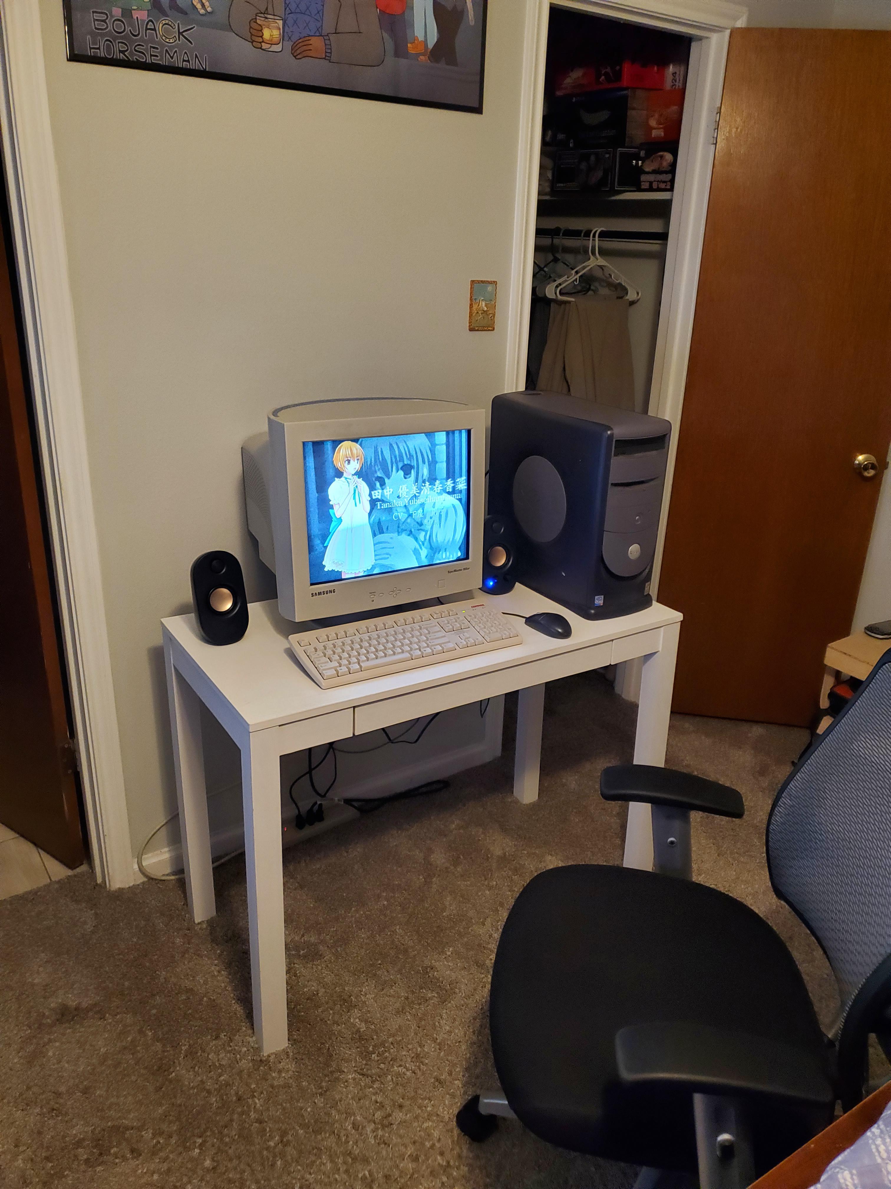 Windows XP Setup with Samsung SyncMaster 955DF (PC is a Dell Dimension