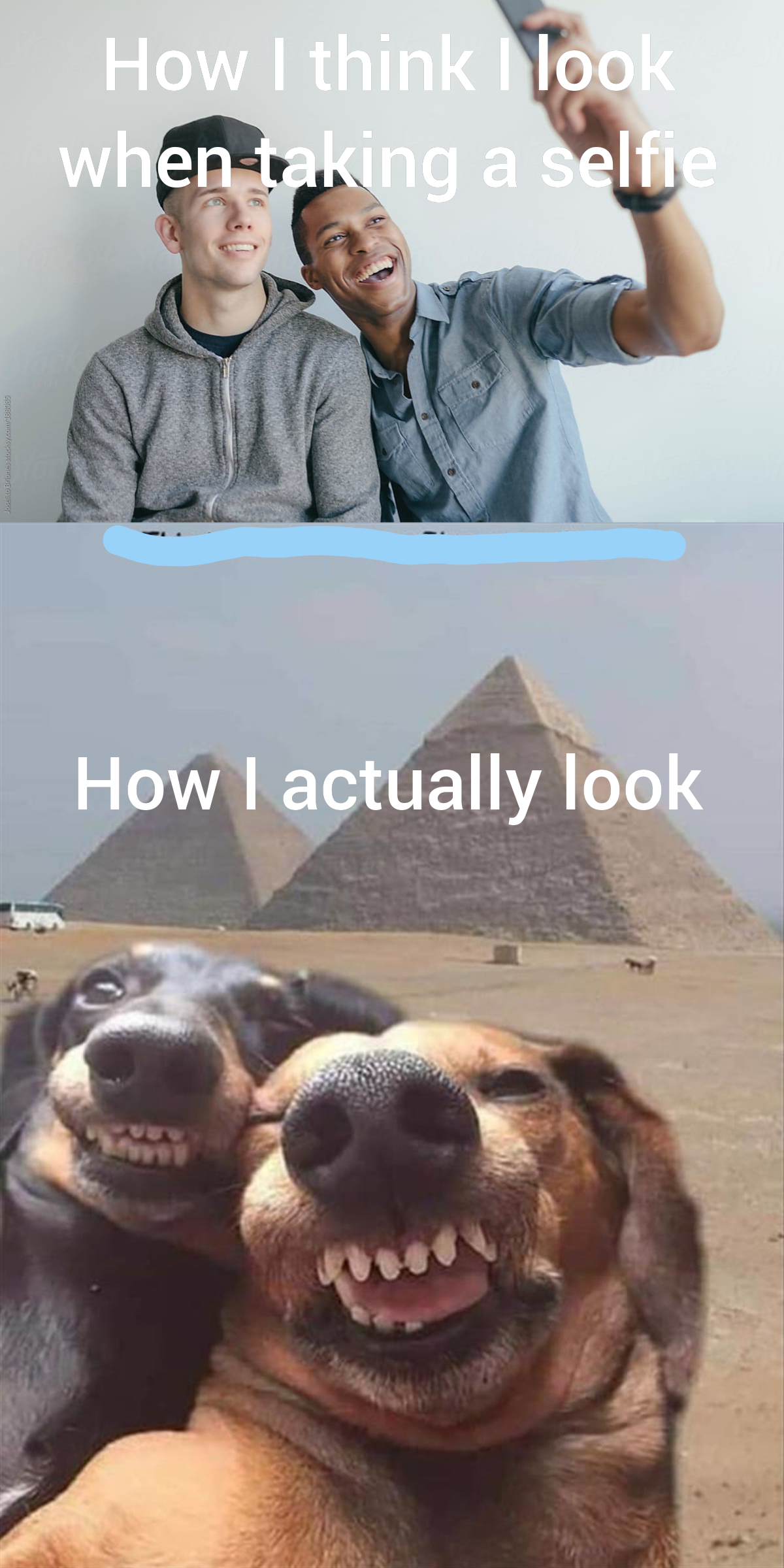 Reality can often be disappointing... memes