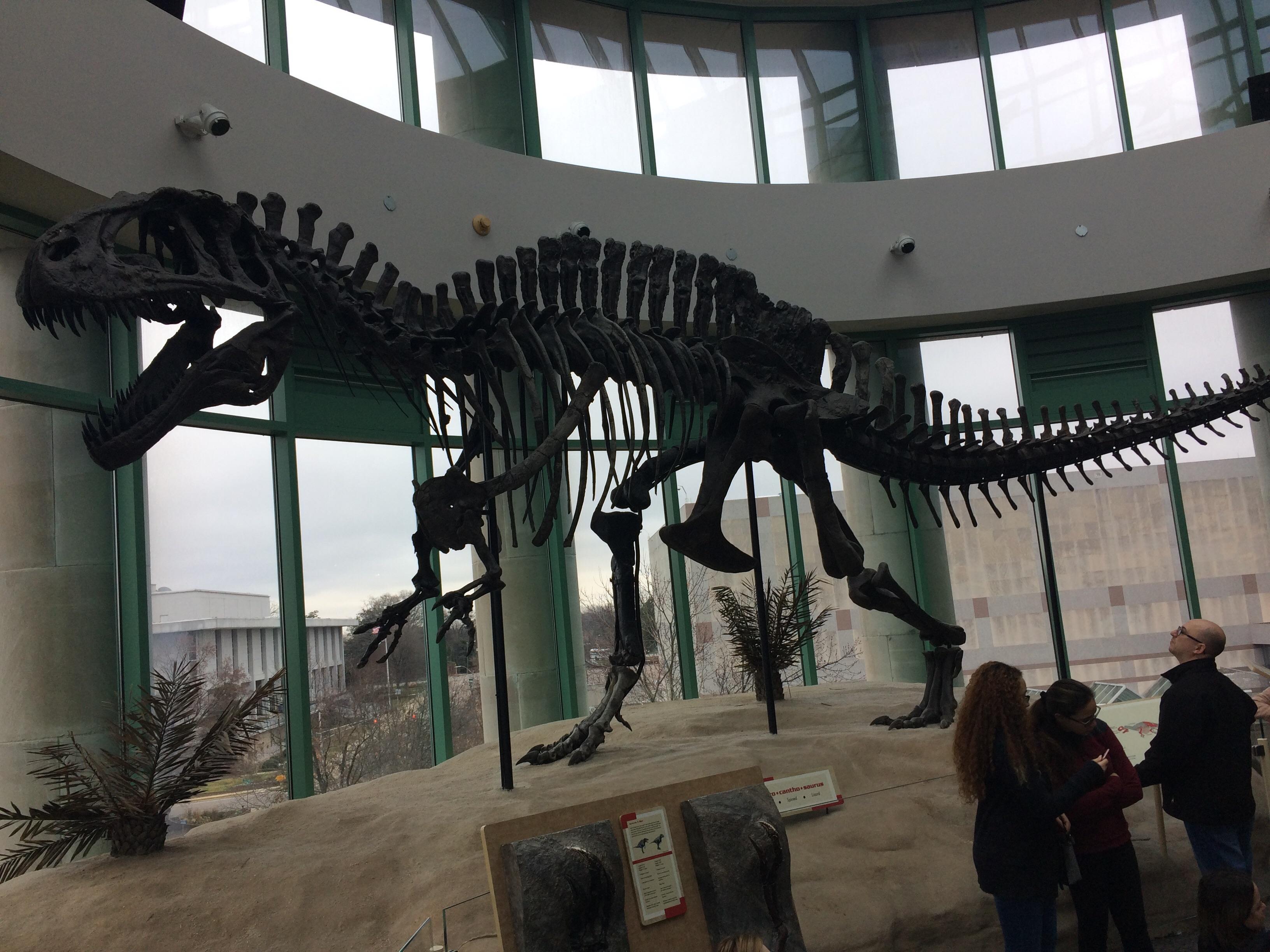 Acrocanthosaurus at North Carolina Museum Of Natural