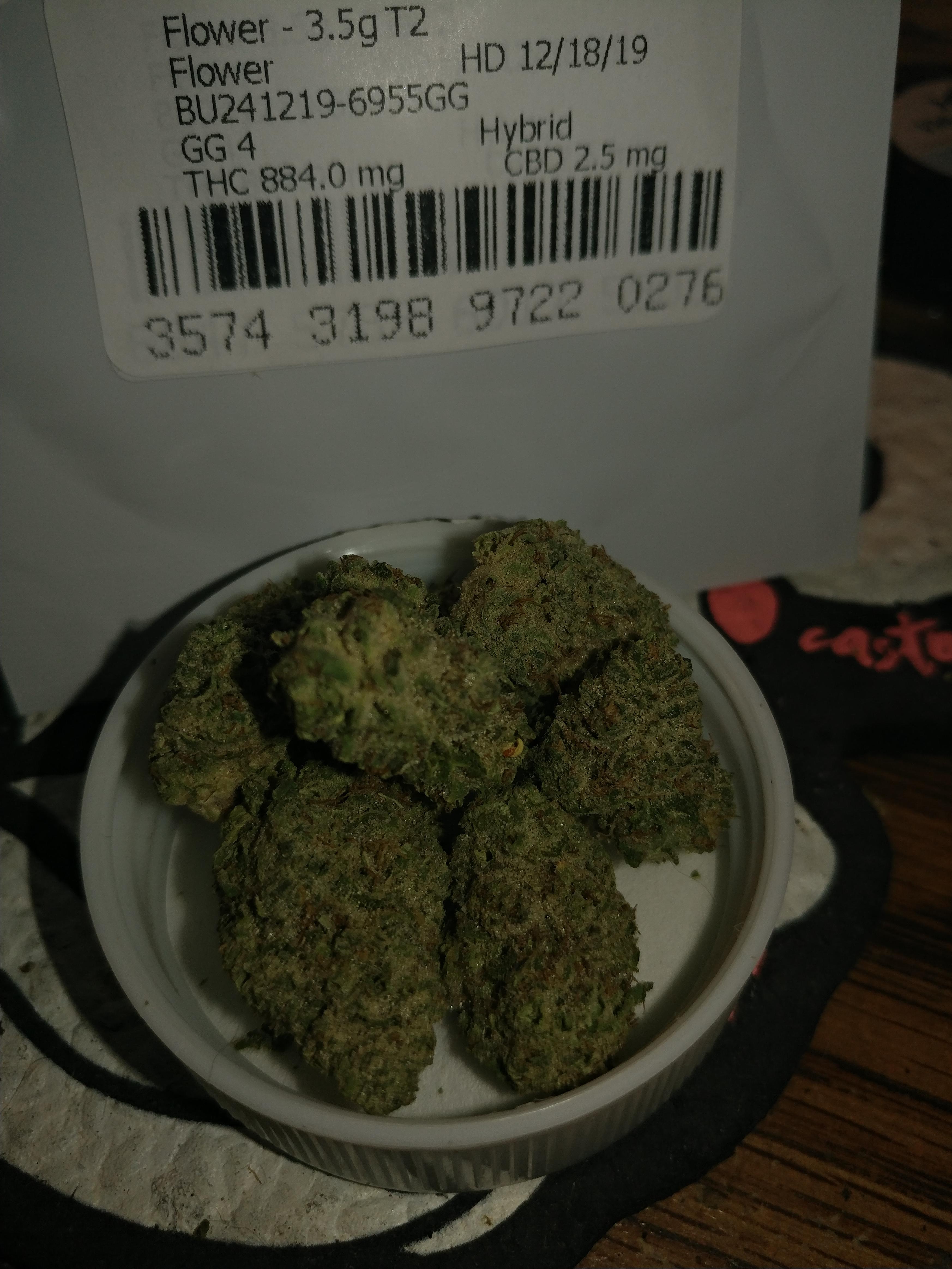 Muv Wellington GG4 25.7 T2 🌼 r/FLMedicalTrees