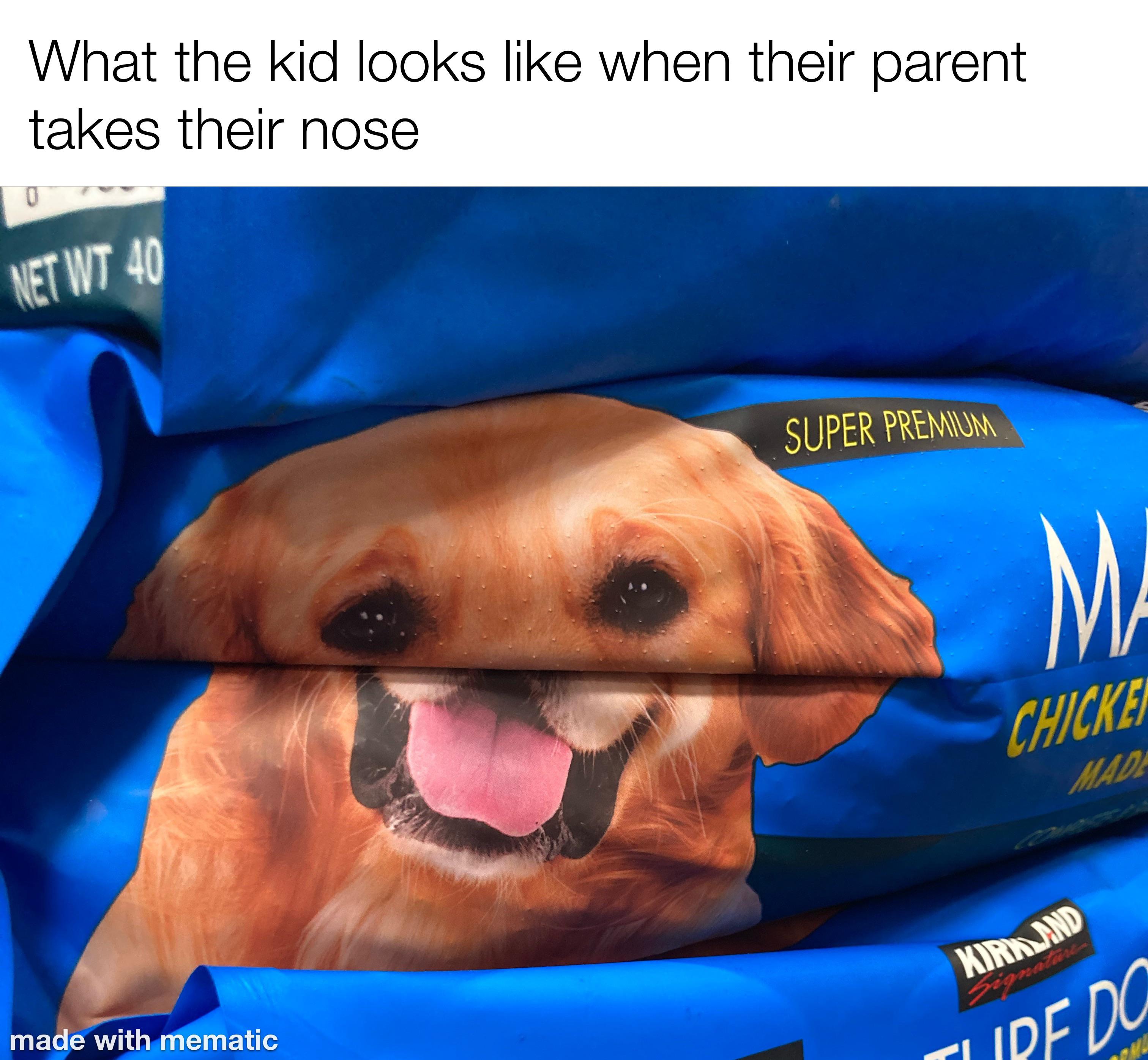 “I got your nose!” memes