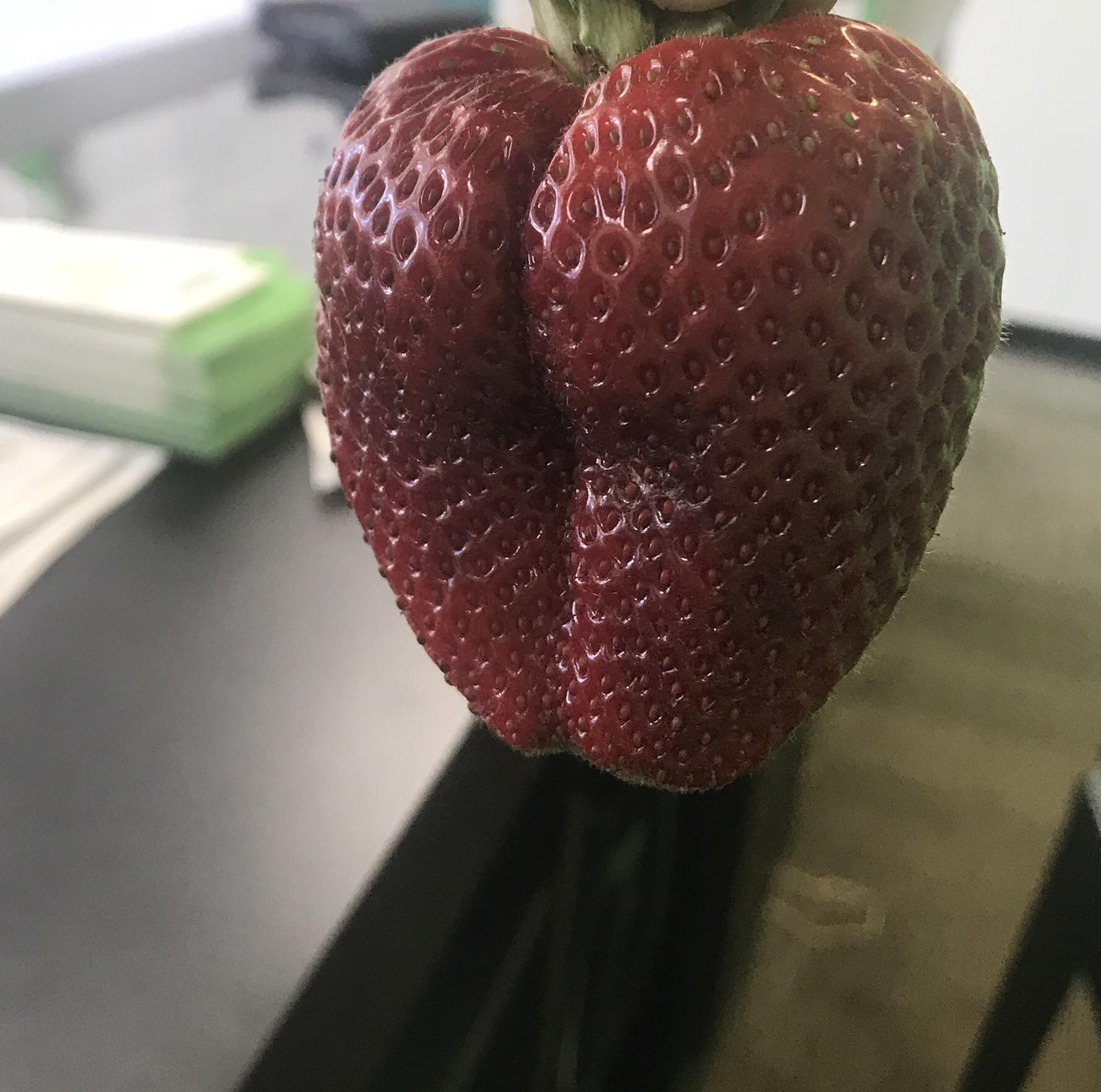 This is the sexiest strawberry I've ever seen. r/pics
