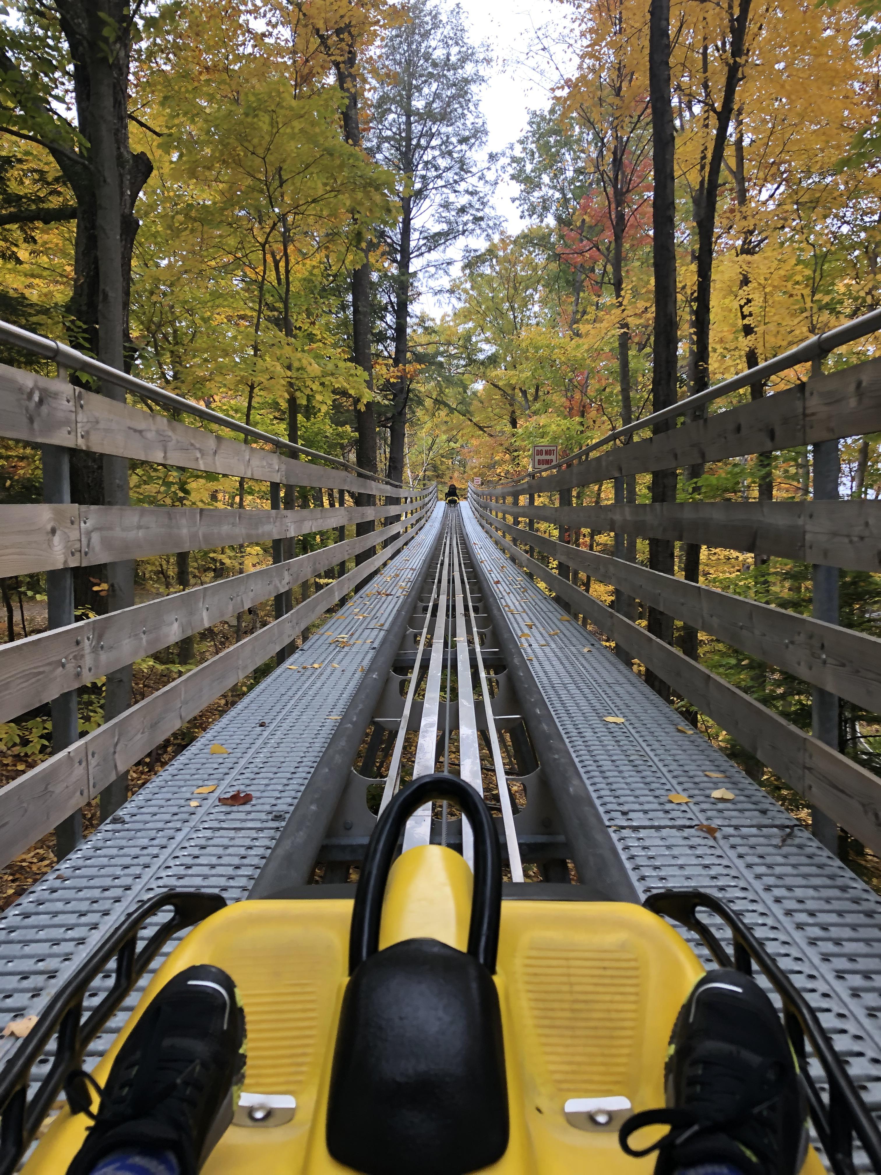 Mountain coaster at gunstock r/newhampshire