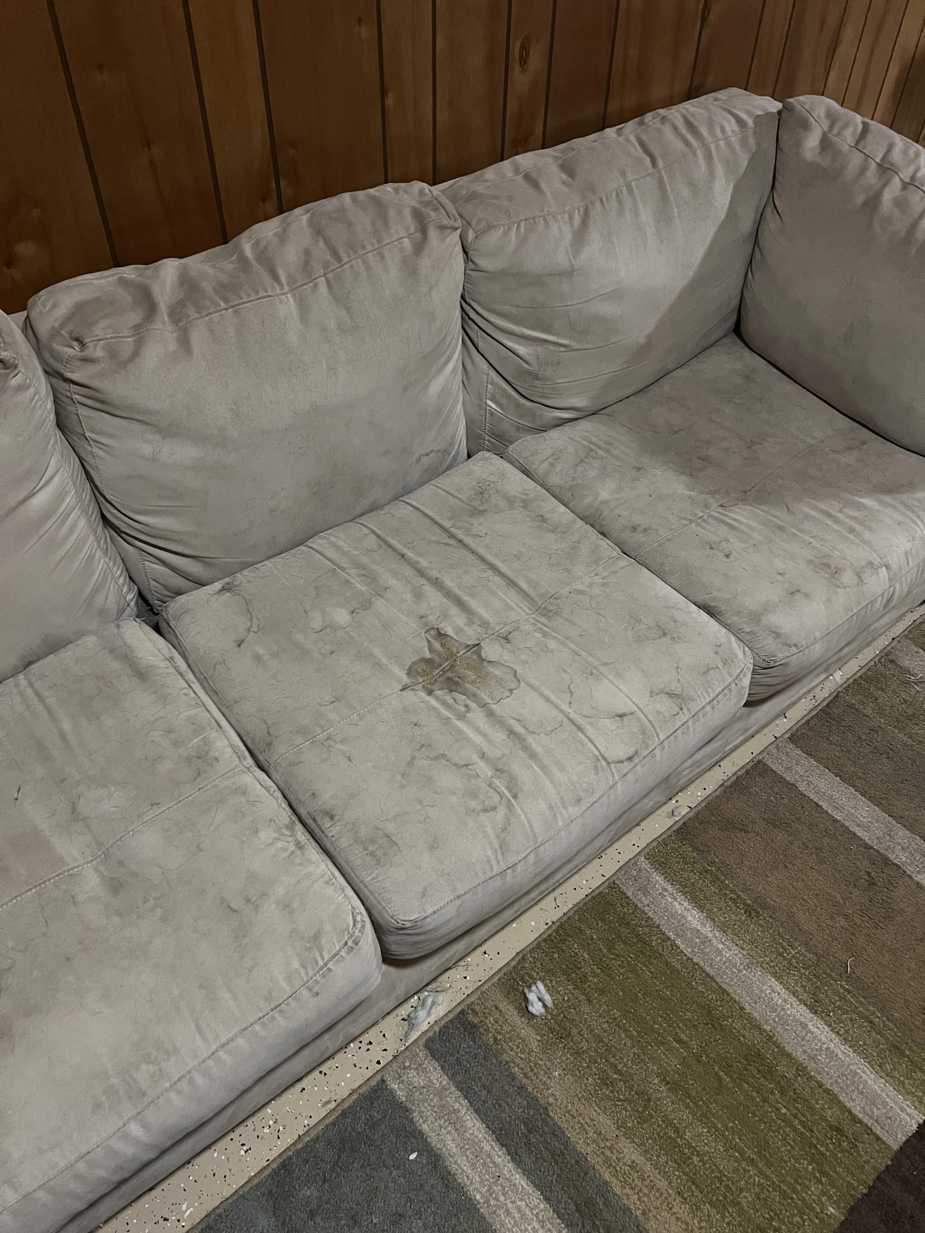 Help needed for cleaning this entire couch! It is microfiber. Pet