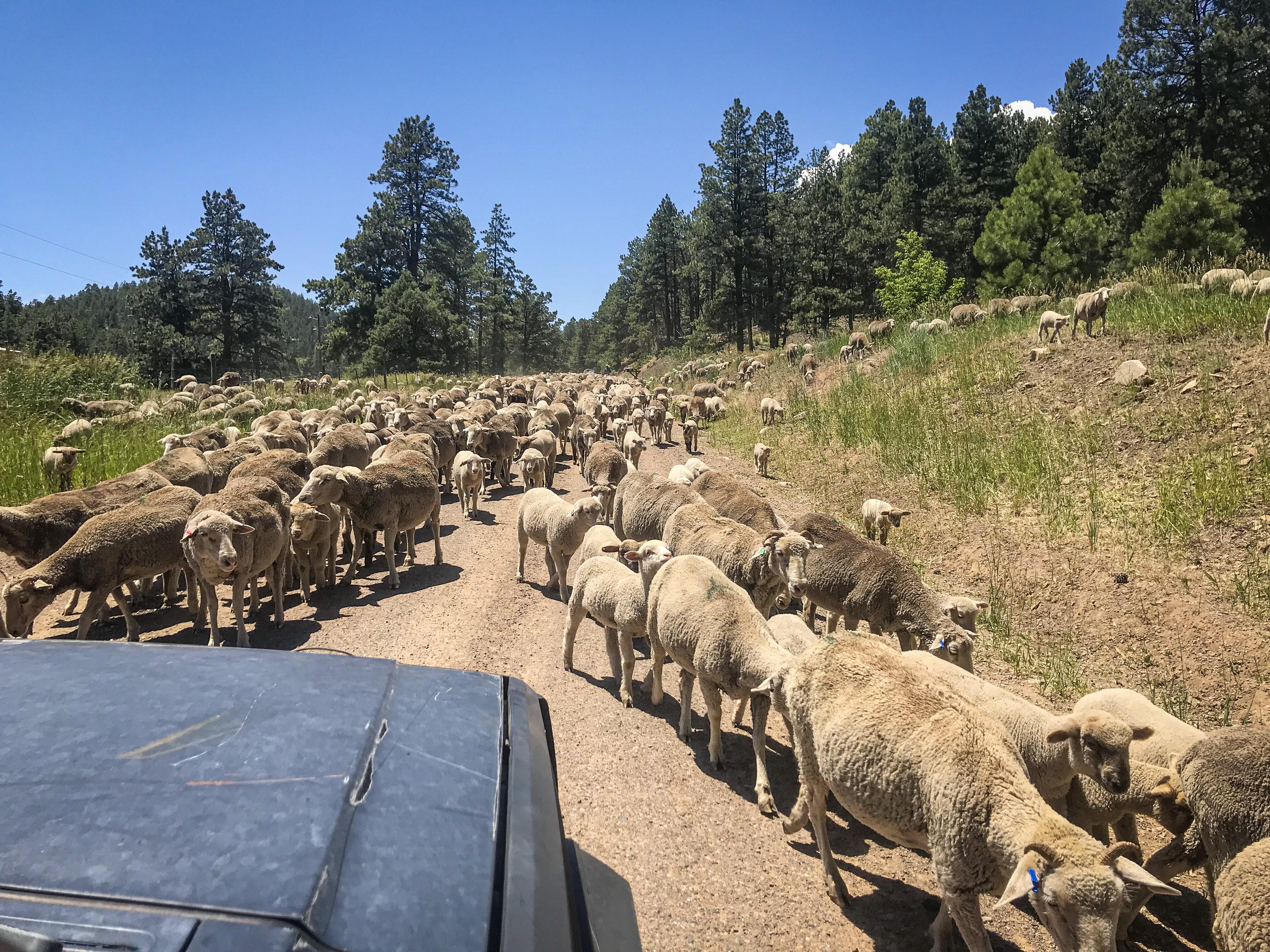 Rural route pic r/USPS