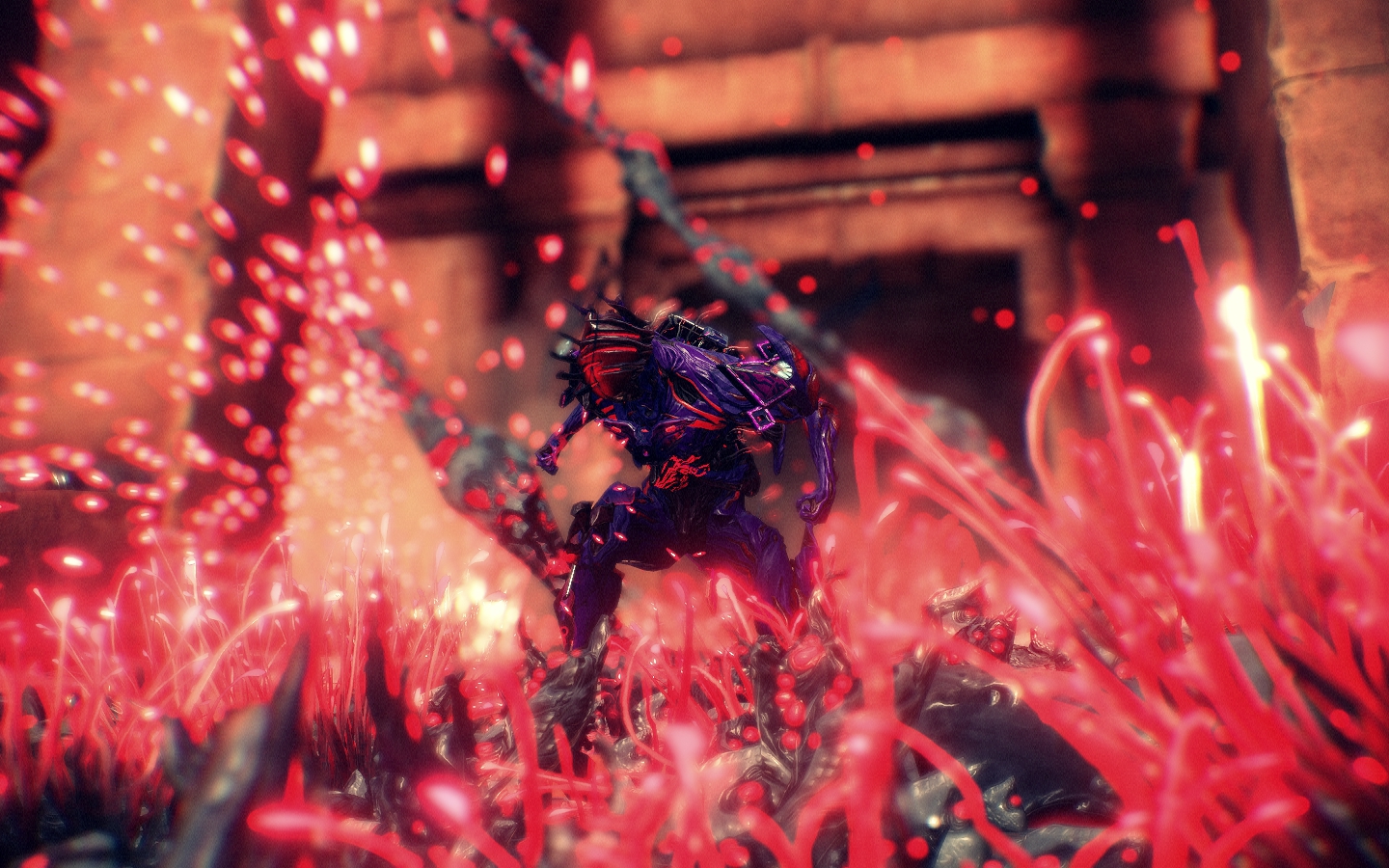 Ravenous Beauty Warframe