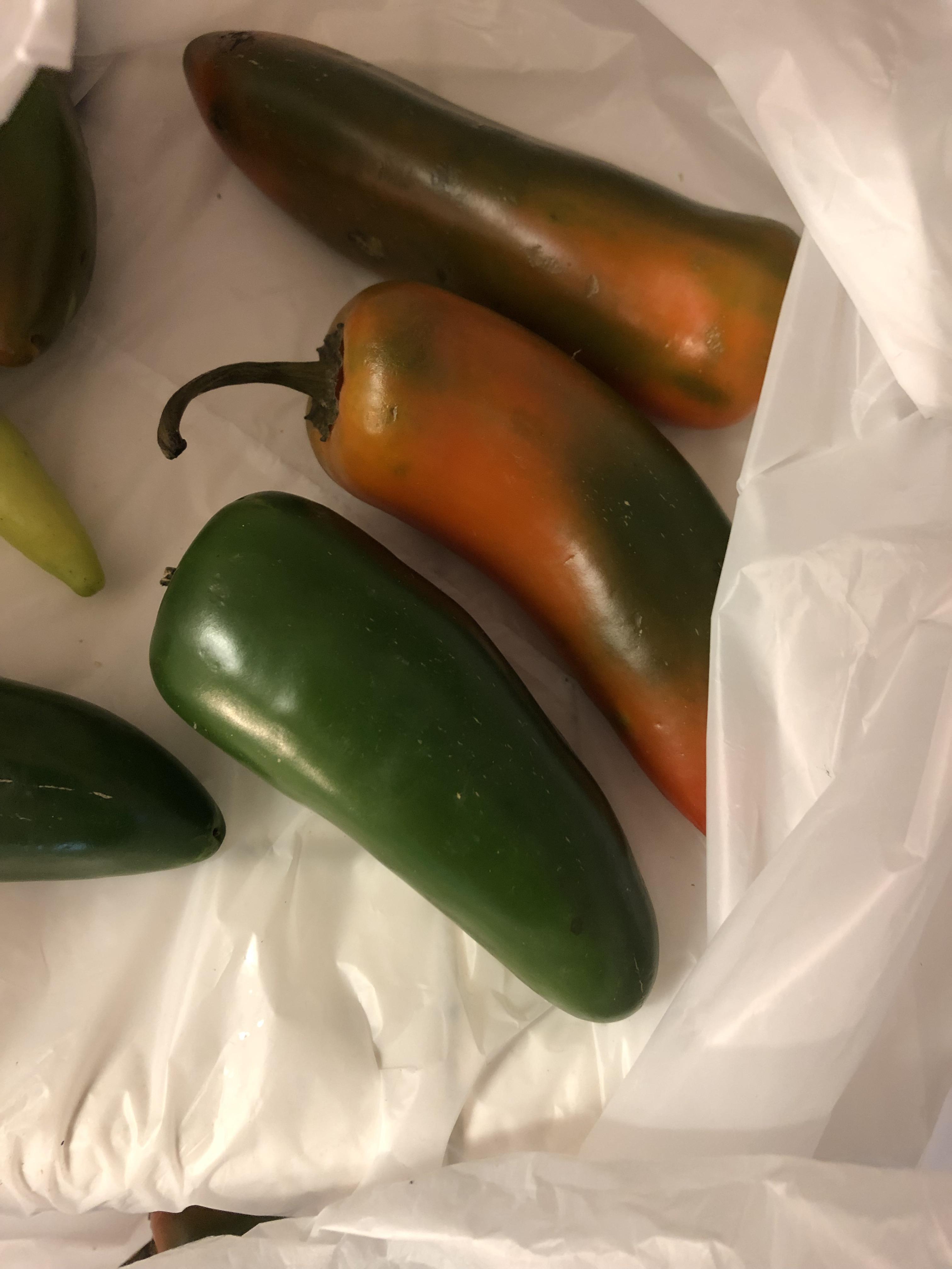 This Pepper was left out and is turning orange? See comment for more