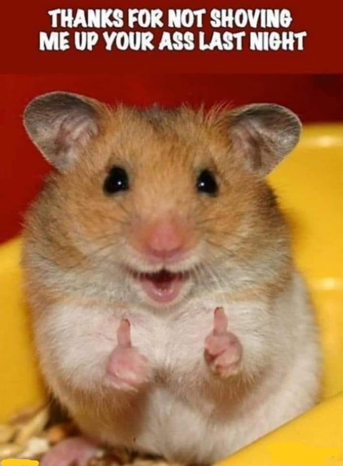 Richard Gere's Gerbil r/memes