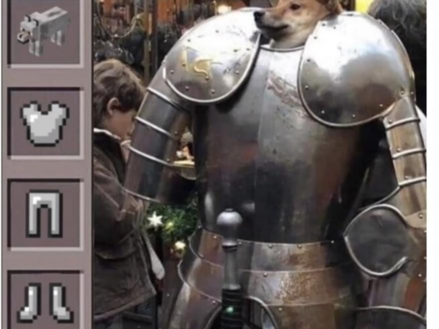Armor dog r/funny